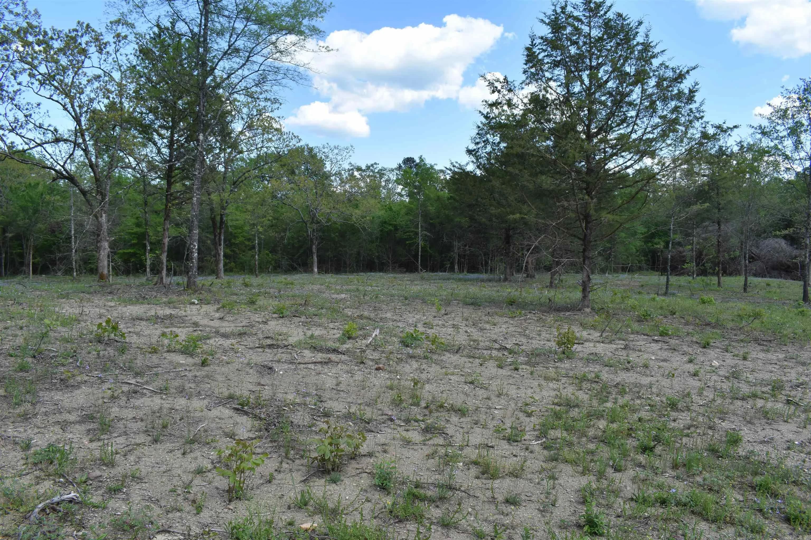 Property at 0000  Highway 88 - Image 53