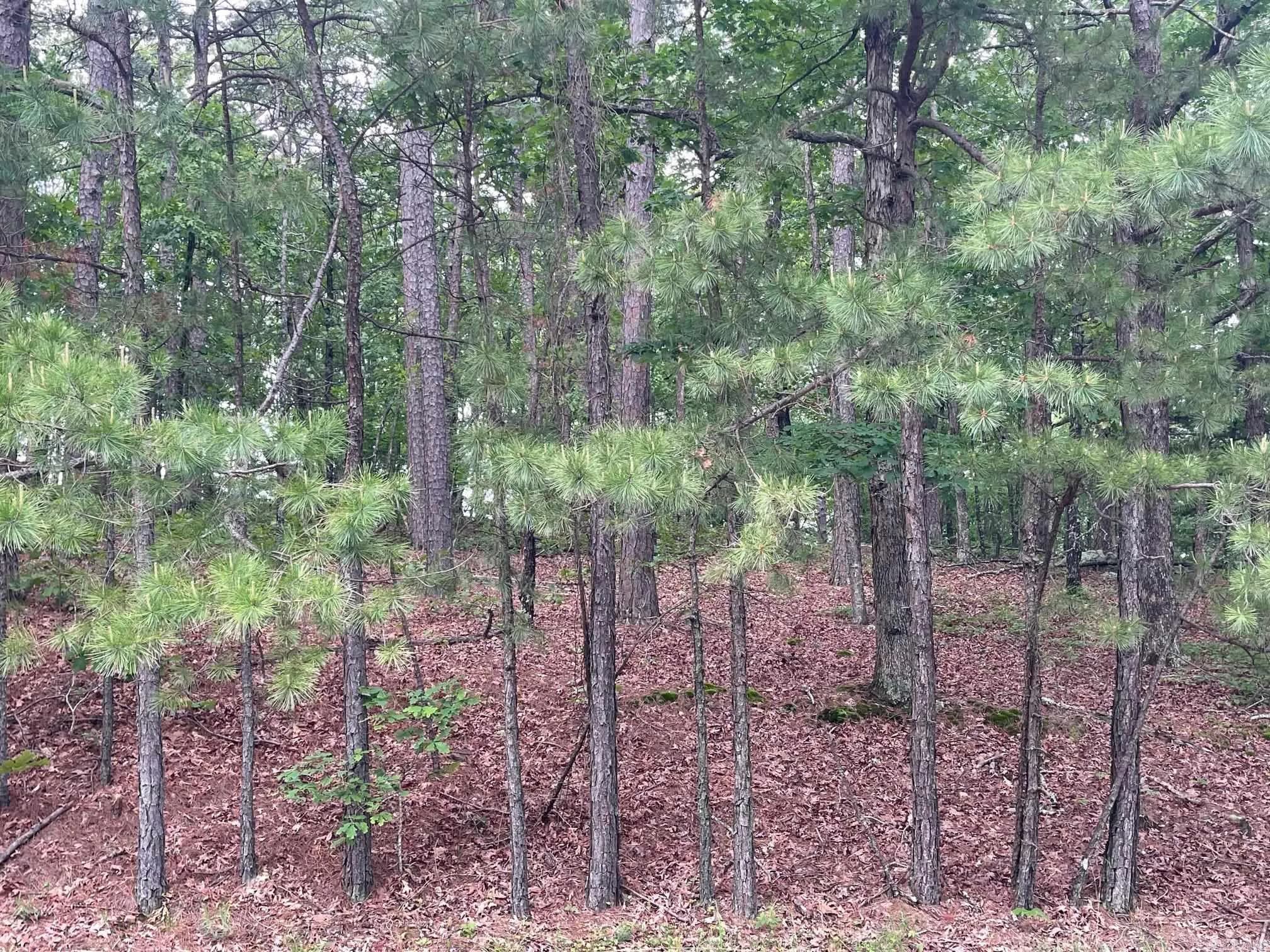 Property at Lot 33-34 Blk 7  Woodlawn dr  Indian Hills - Image 7