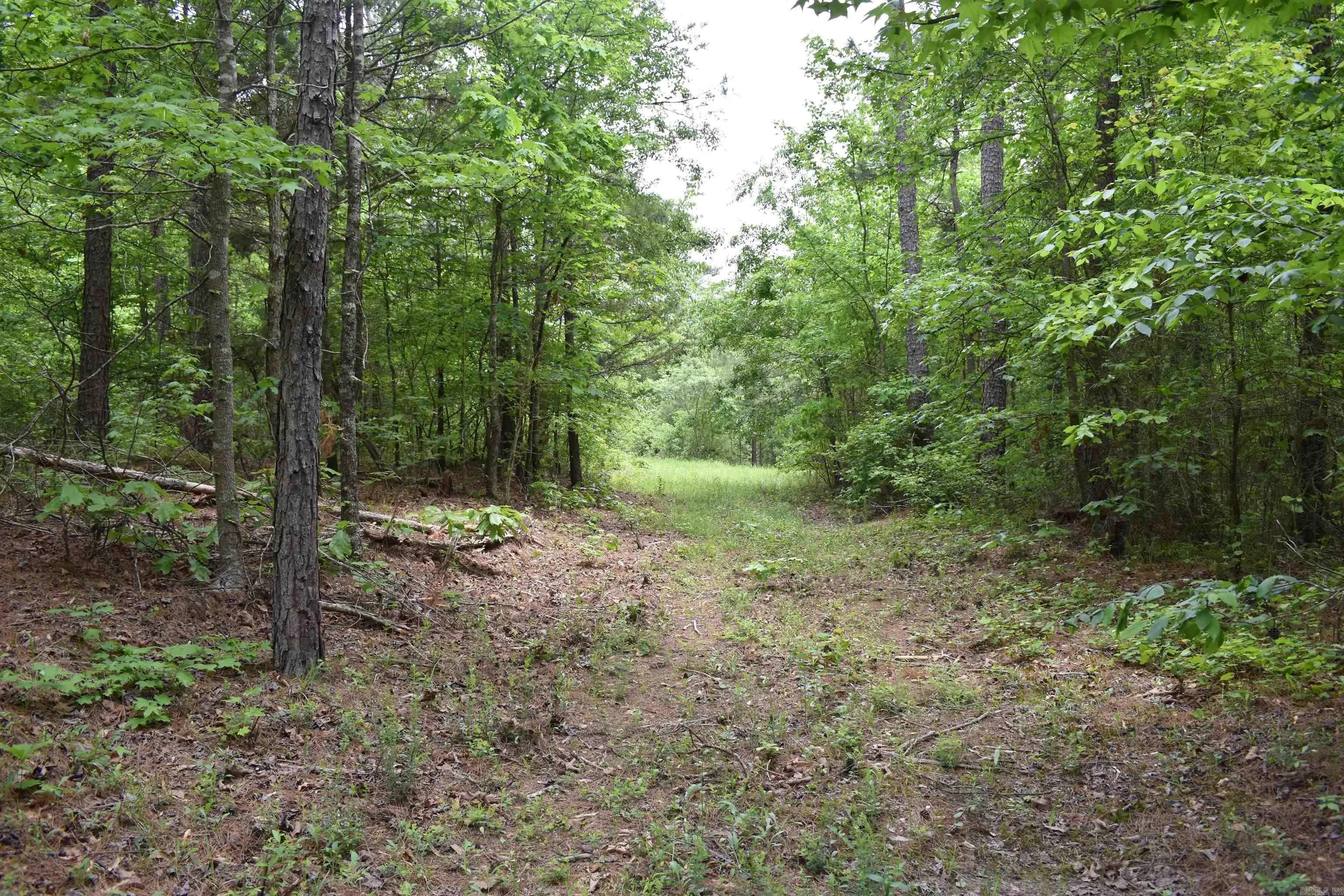 Property at 0000  Cantrell road - Image 30
