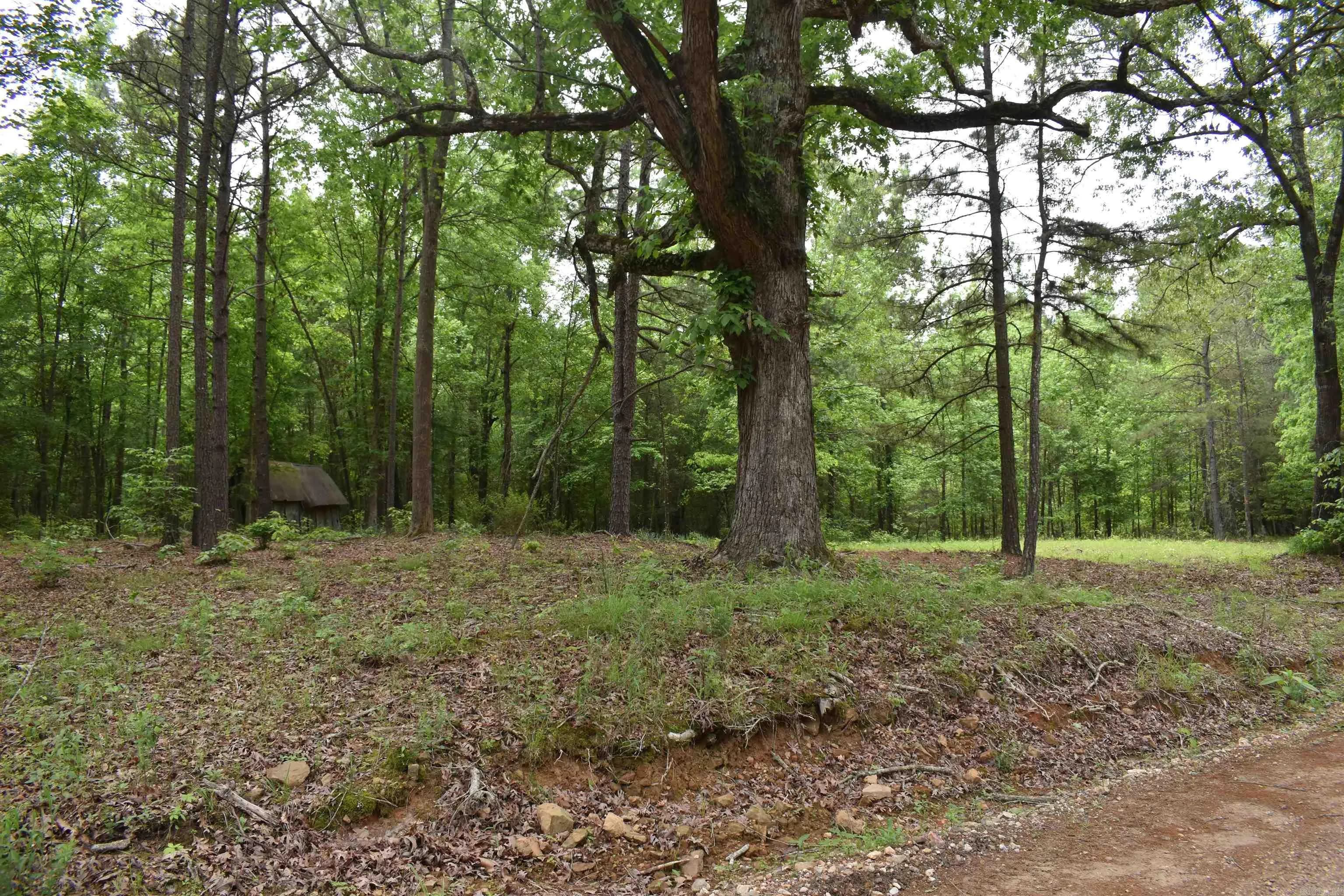 Property at 0000  Cantrell road - Image 1