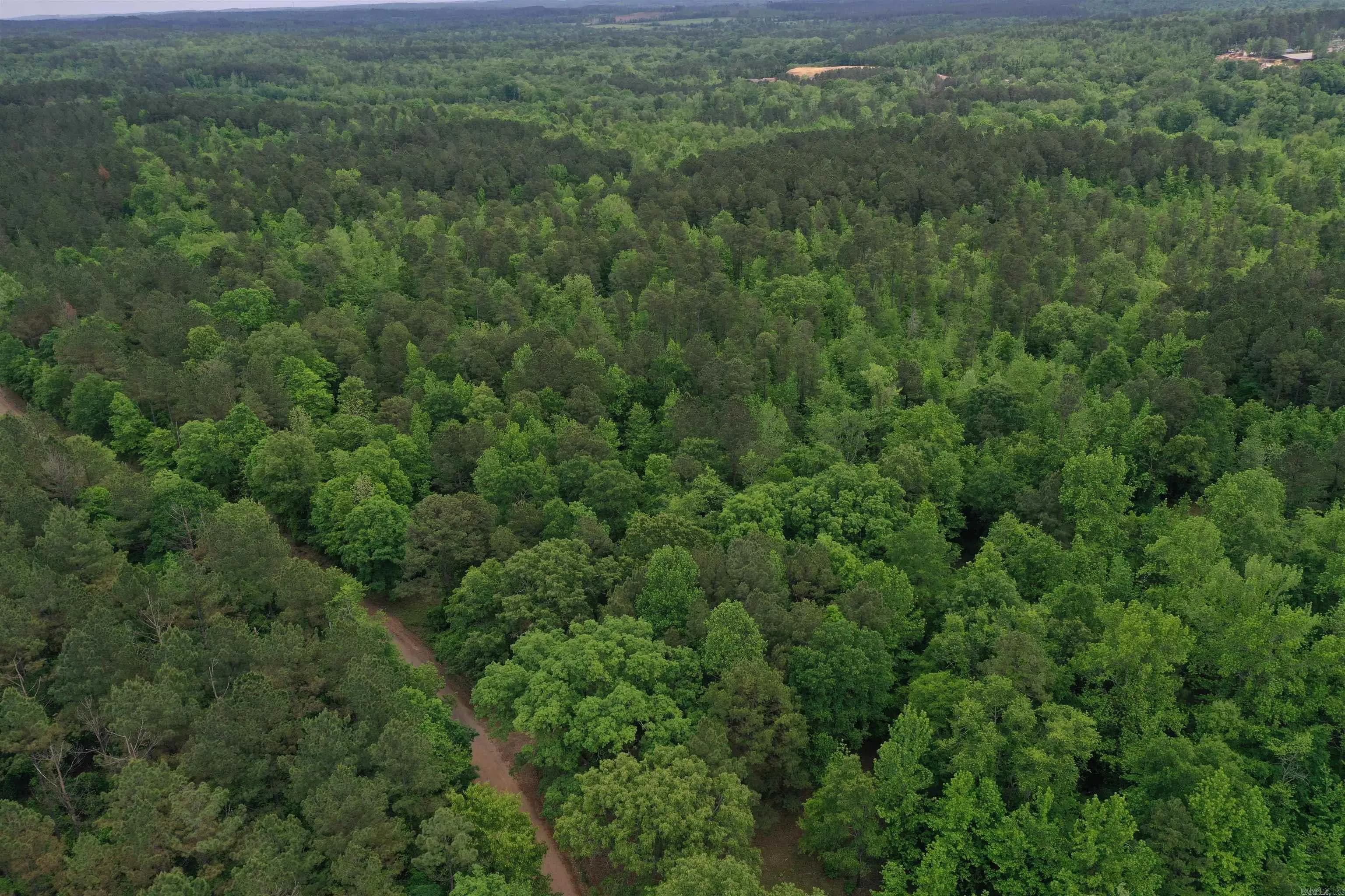 Property at 0000  Cantrell road - Image 3