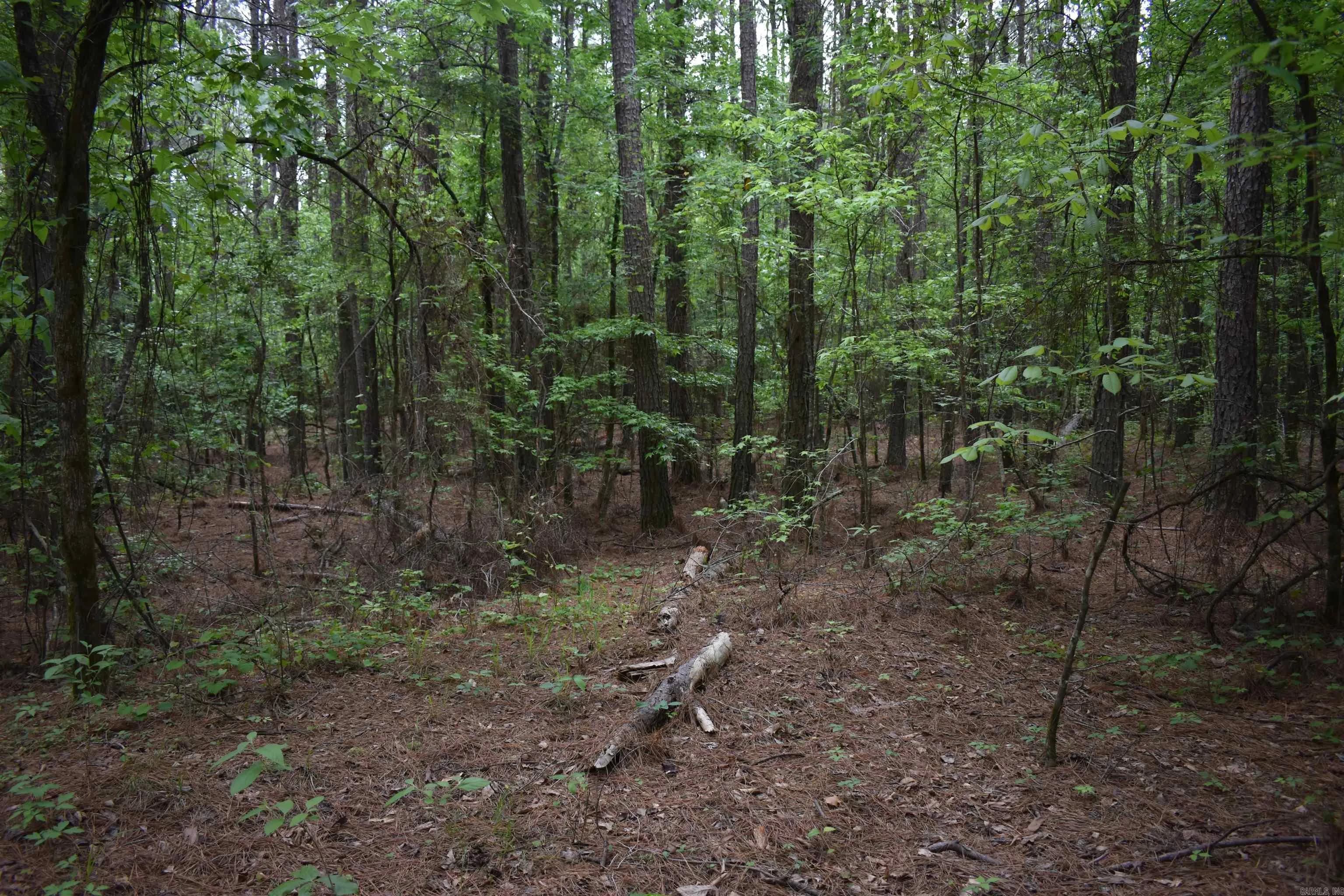 Property at 0000  Cantrell road - Image 40