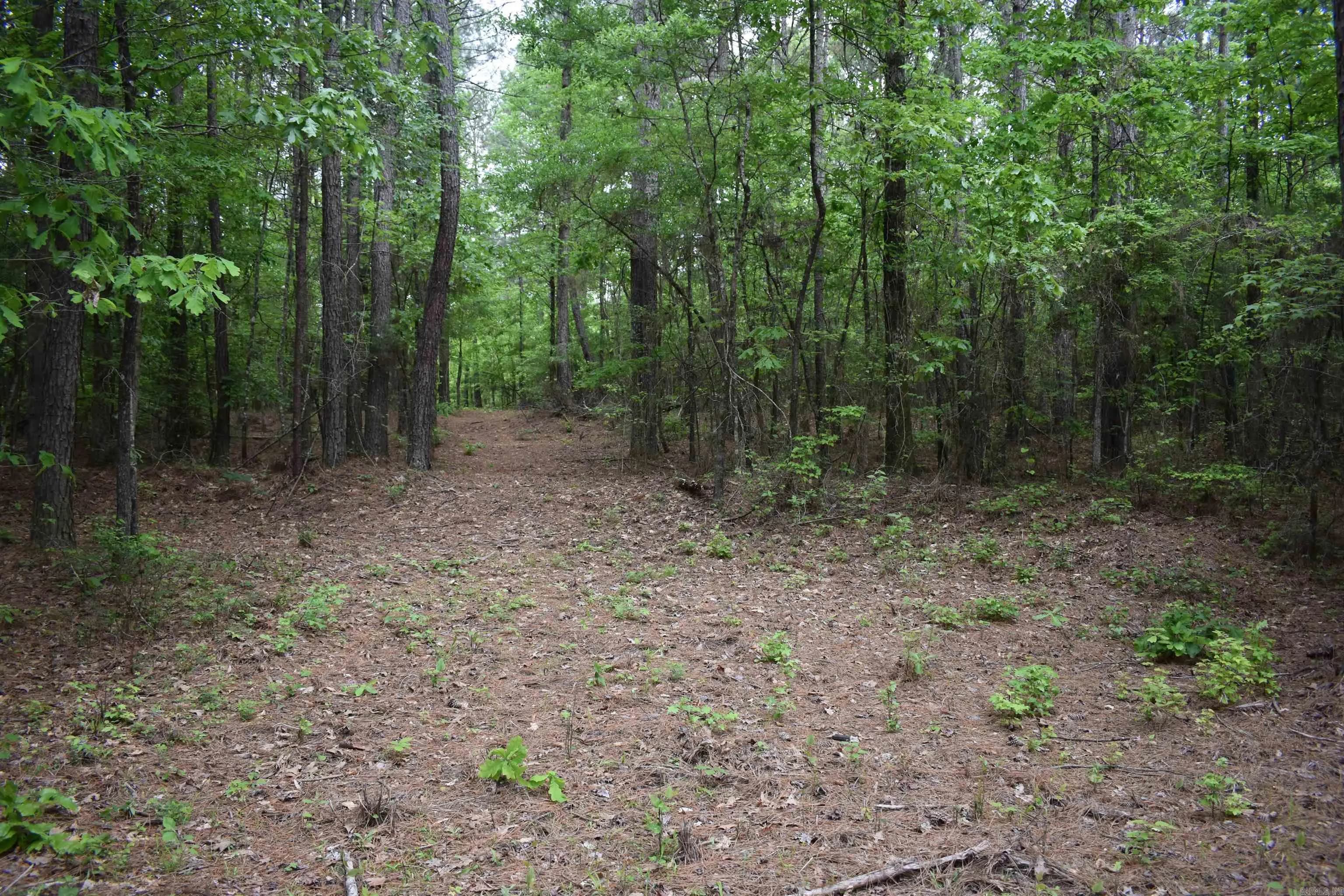 Property at 0000  Cantrell road - Image 43