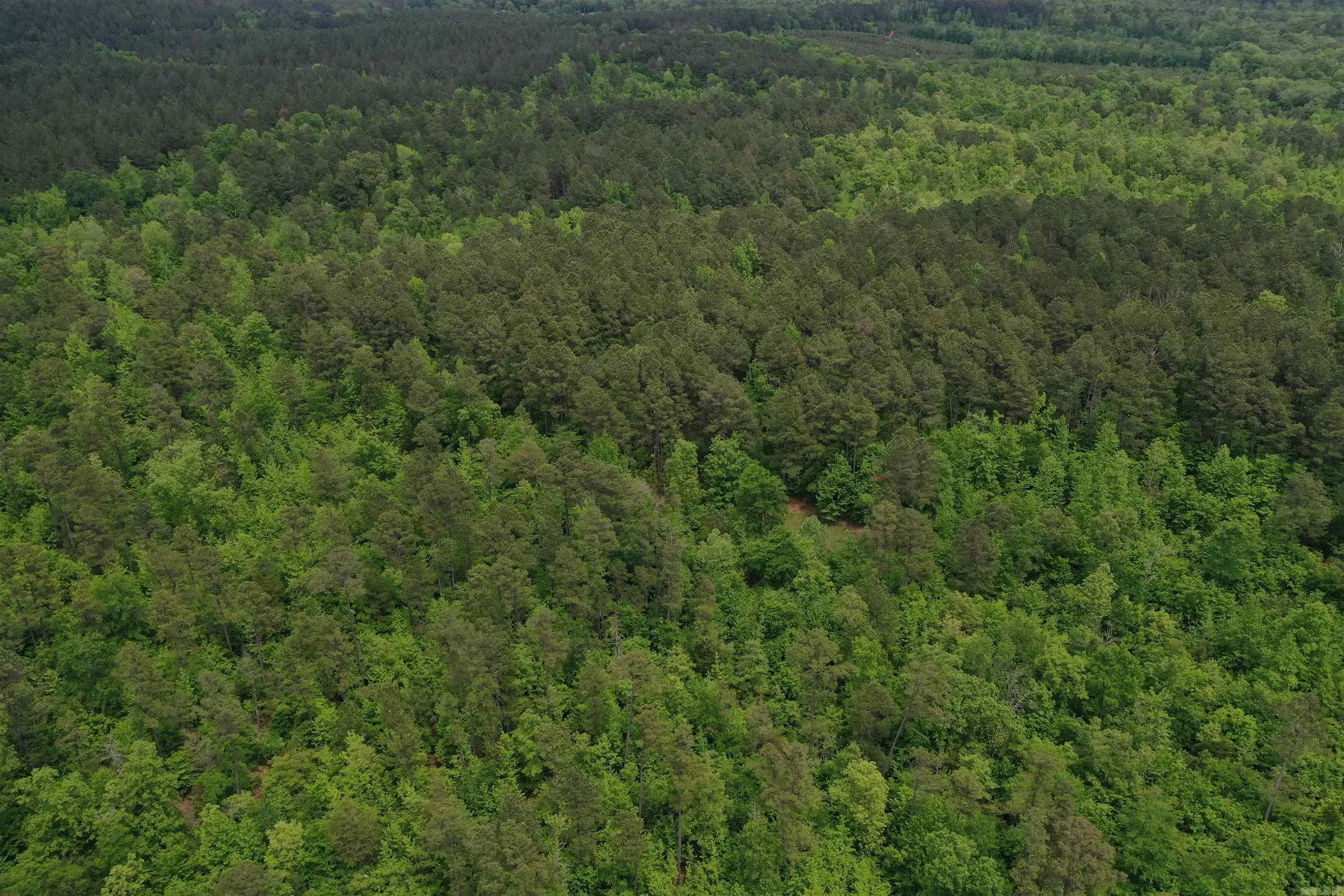 Property at 0000  Cantrell road - Image 7