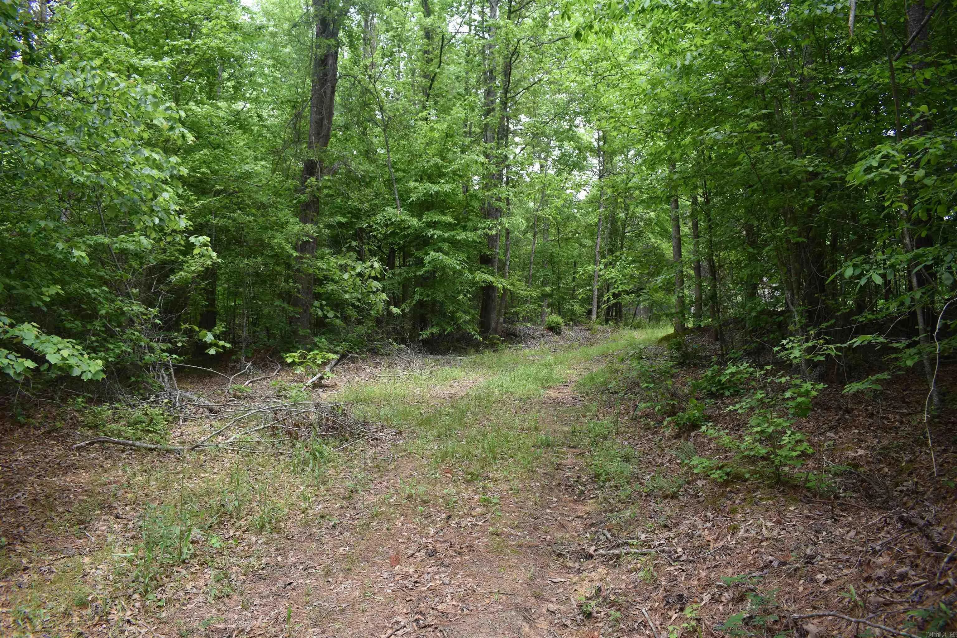 Property at 0000  Cantrell road - Image 24