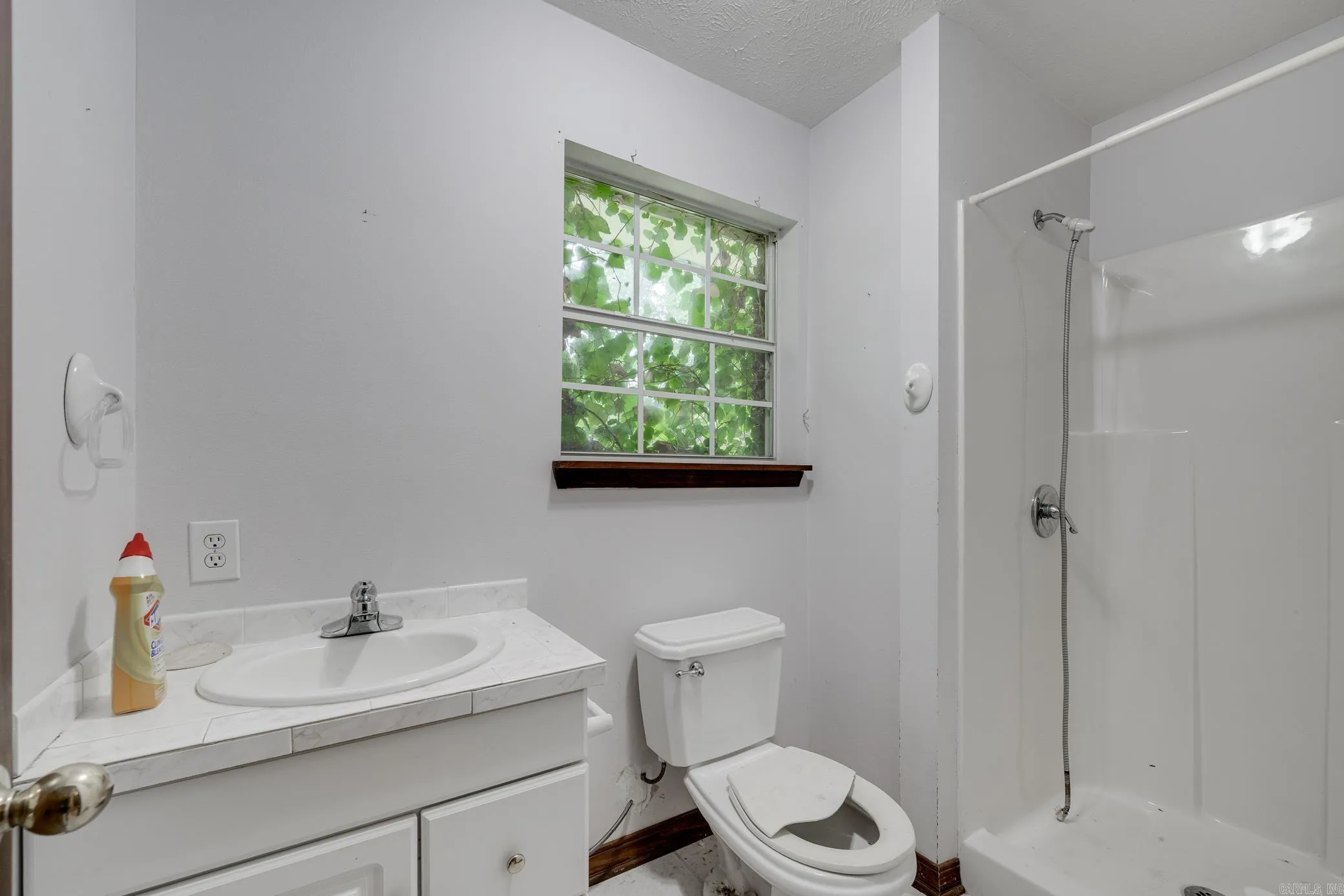 Property at 262  Elliott - Image 14