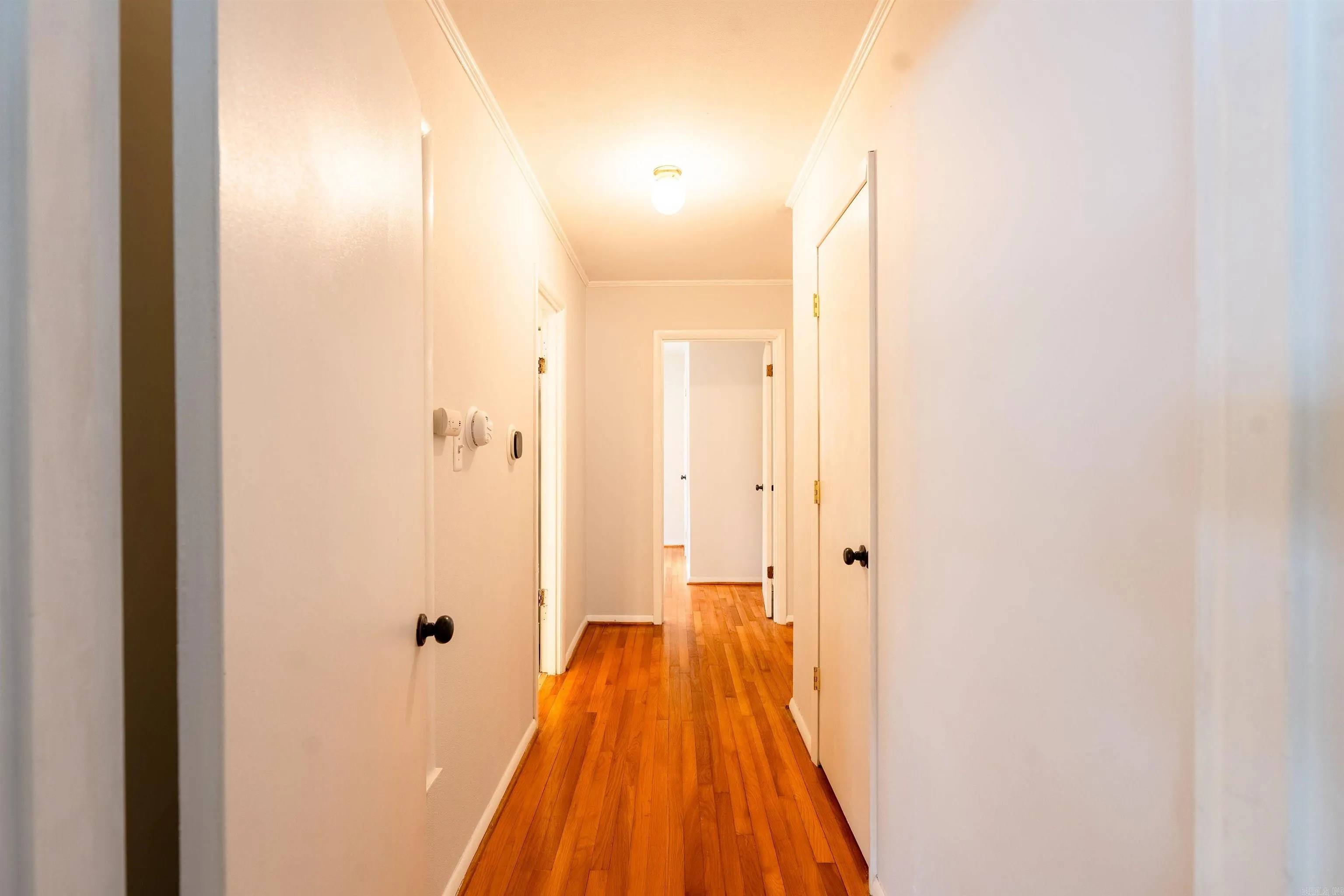 Property at 824  Sunnyhill - Image 14