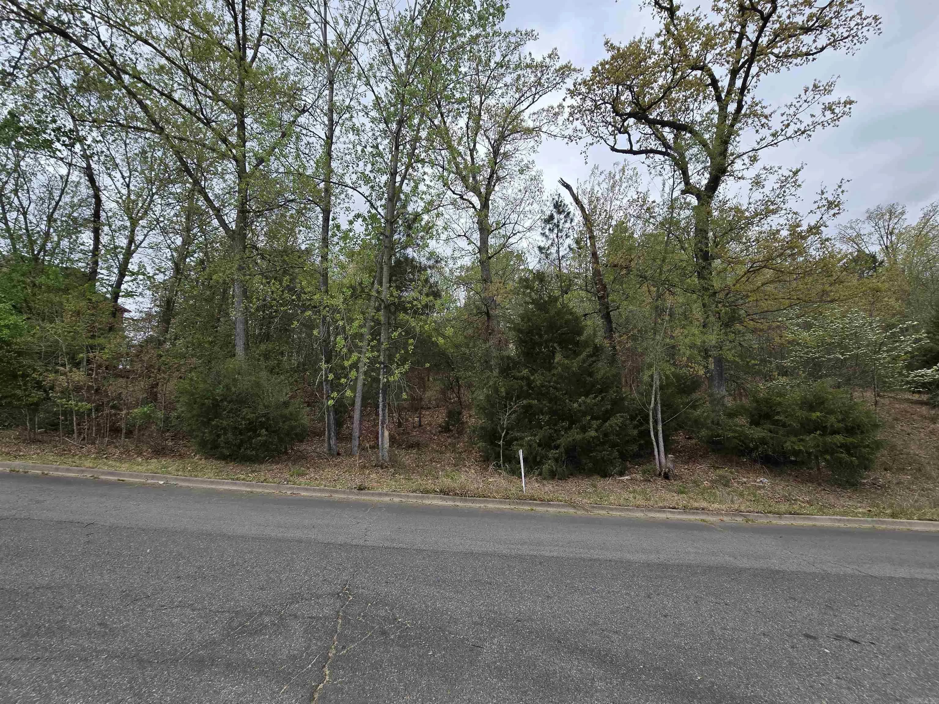 Property at 103  Navajo - Image 14