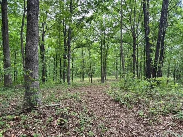 Property at 895  Ashwood road - Image 5