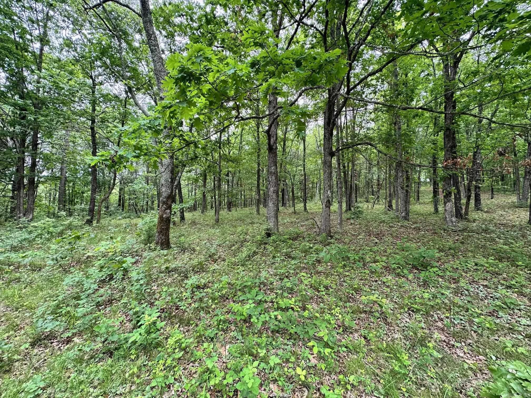 Property at 895  Ashwood road - Image 10