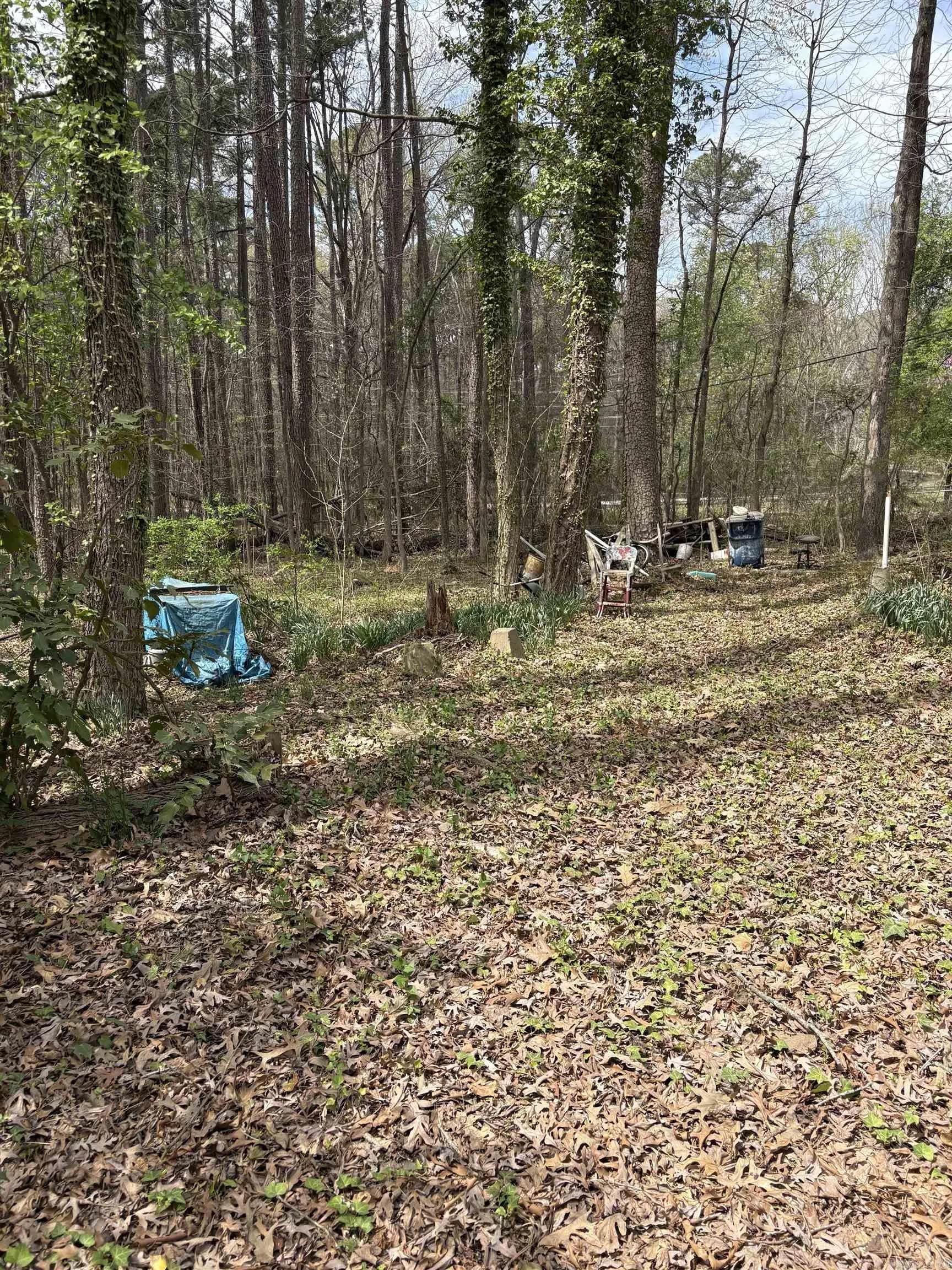 Property at 803  Carmichael rd - Image 8