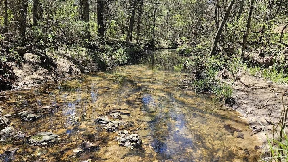 Property at Hwy 354 - Image 23