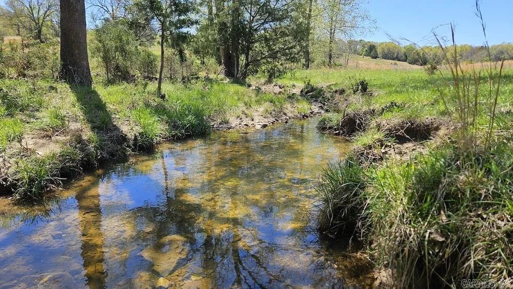 Property at Hwy 354 - Image 13