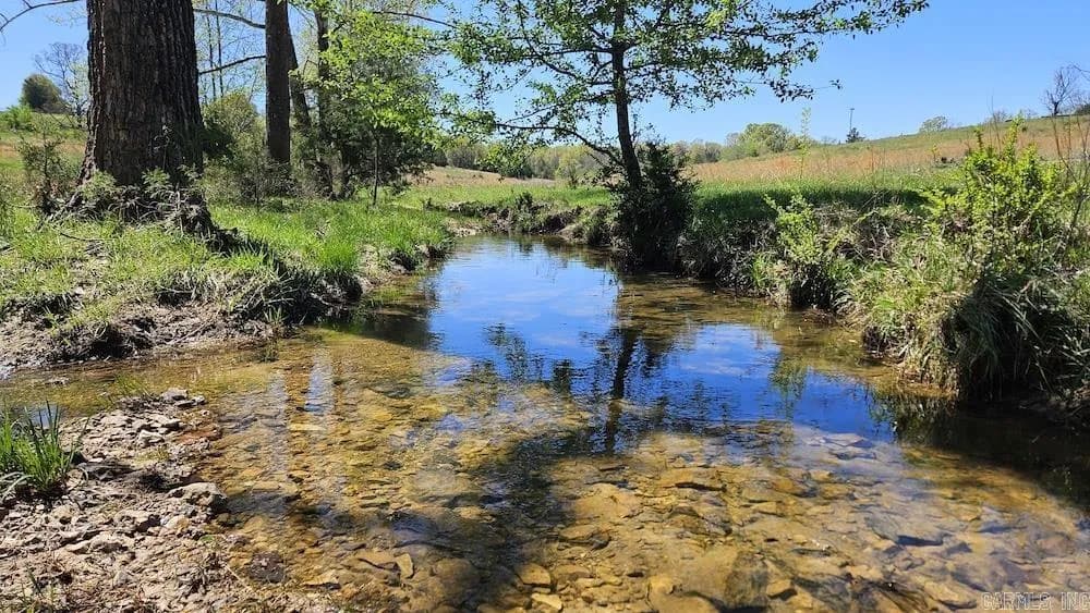 Property at Hwy 354 - Image 2