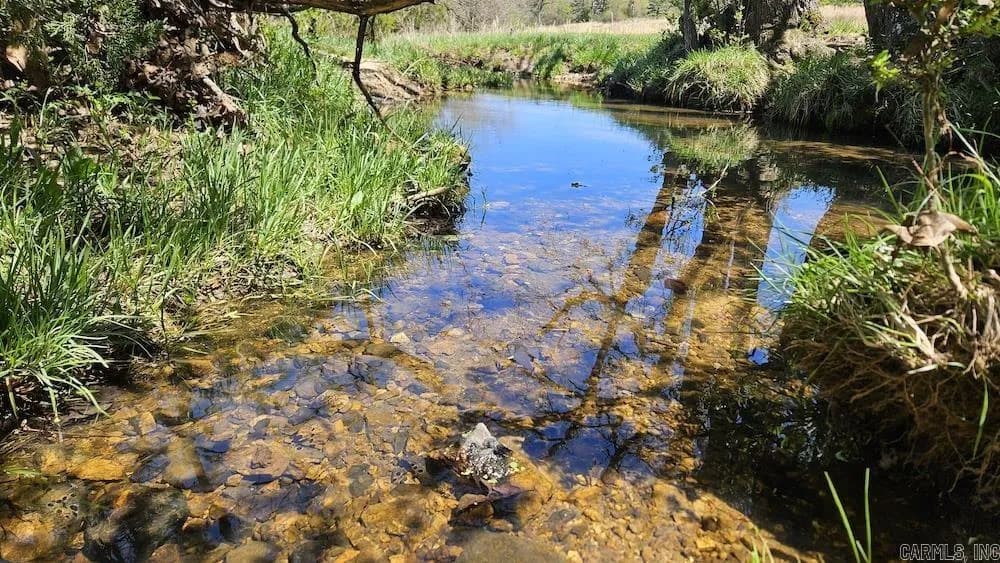 Property at Hwy 354 - Image 7