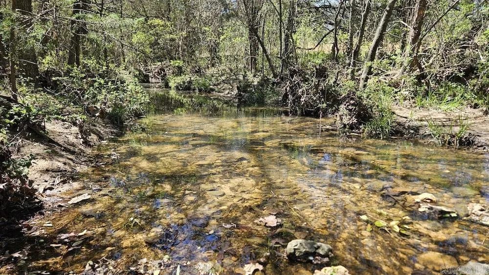 Property at Hwy 354 - Image 24