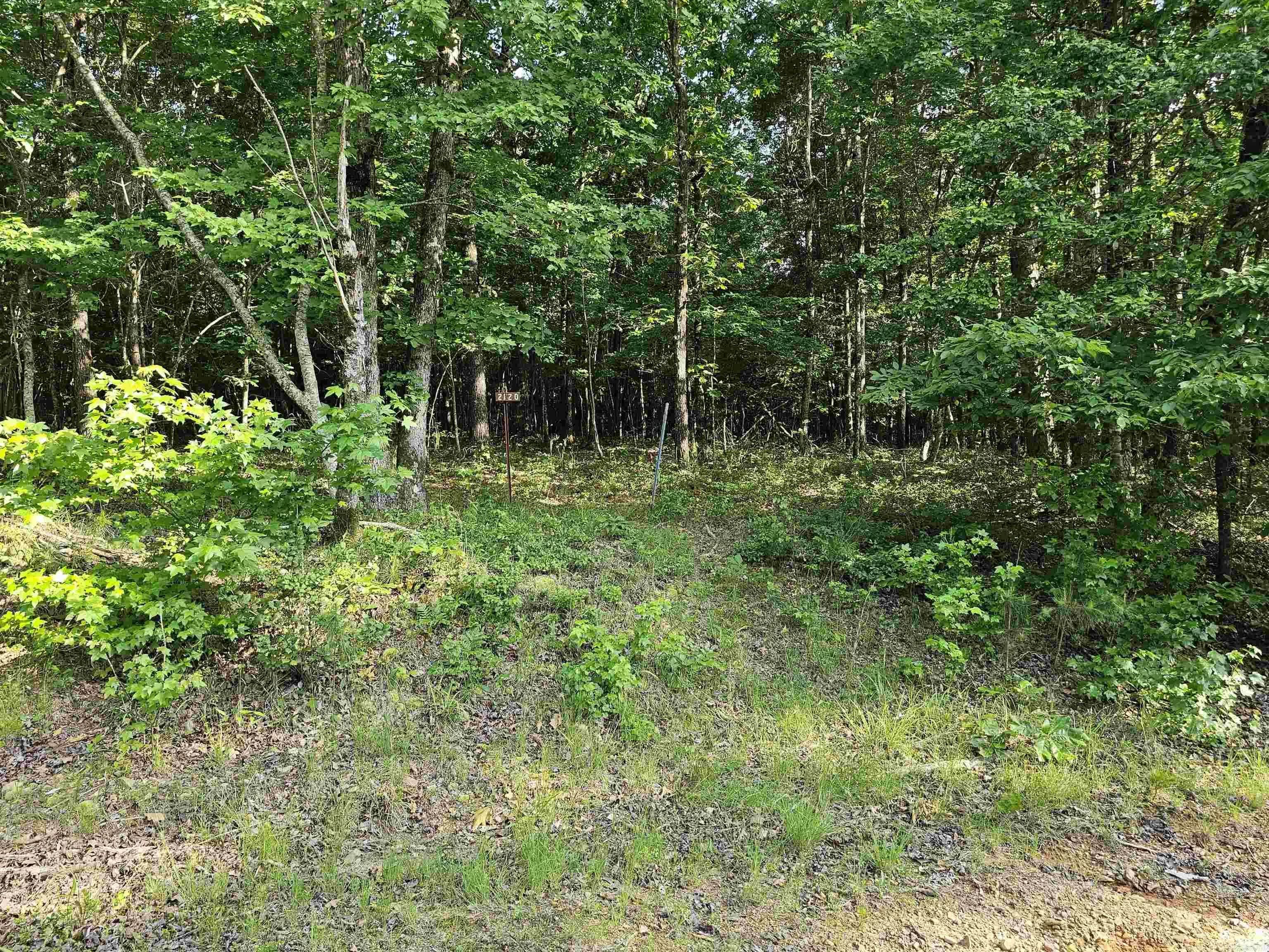 Property at Lot 20 Ukn  April ln - Image 5