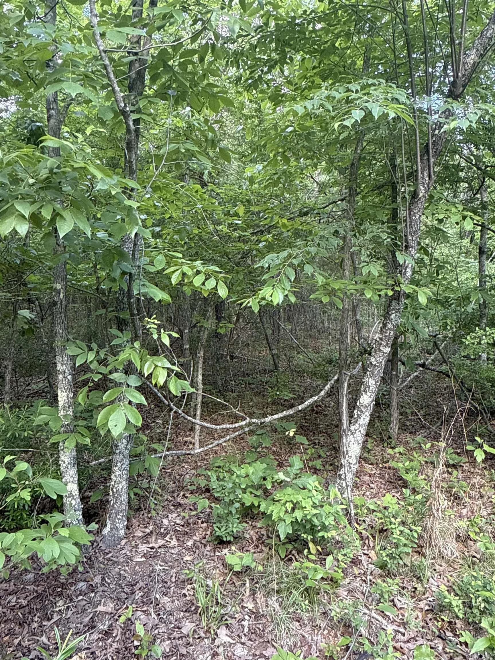 Property at 0  Red river - Image 16