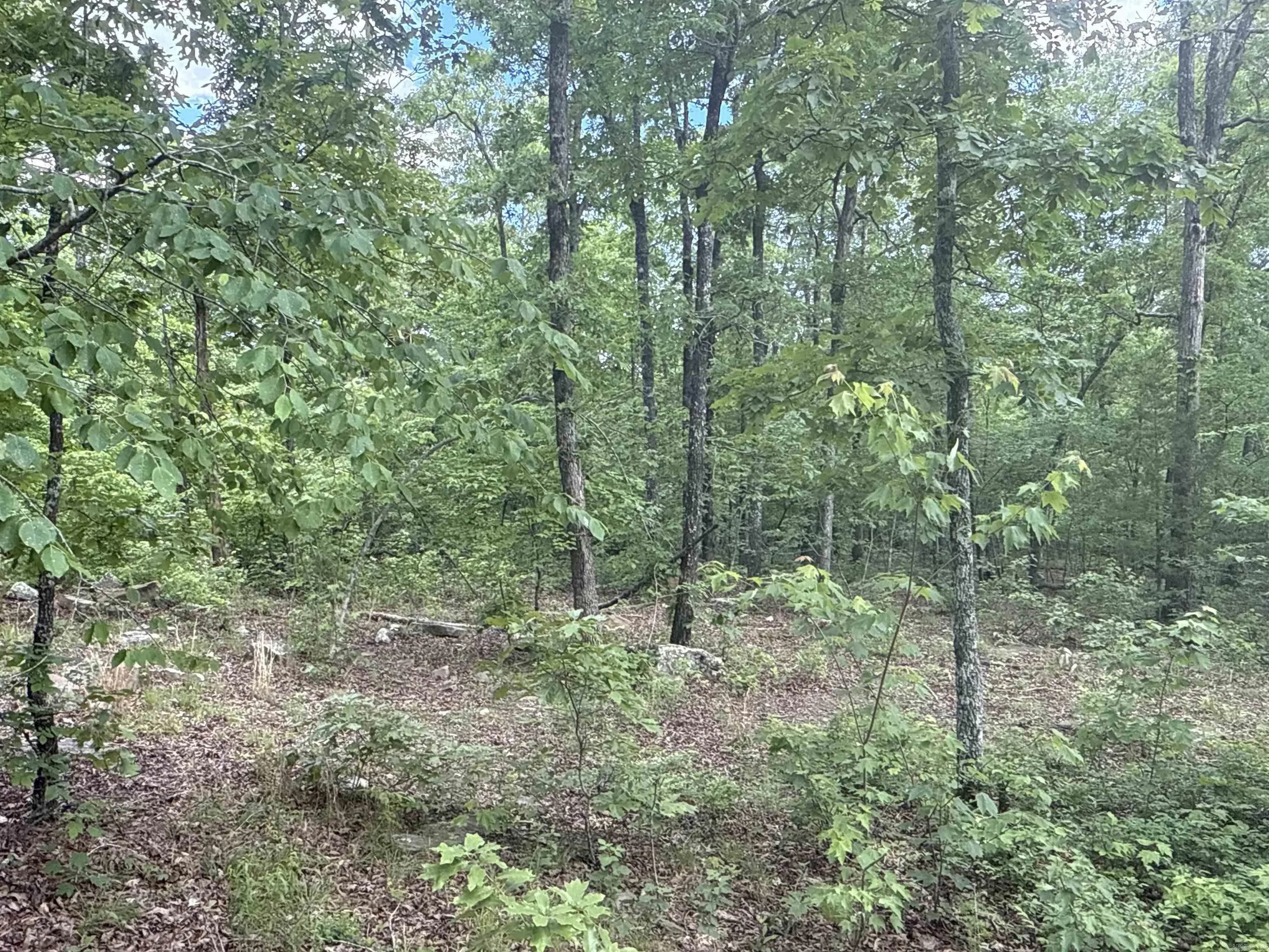 Property at 0  Red river - Image 3