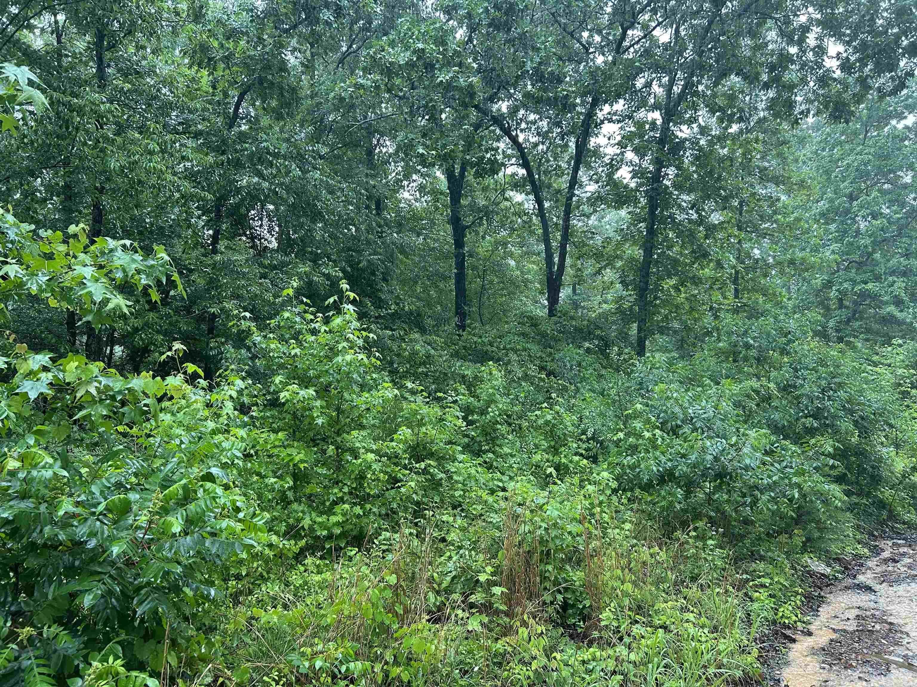 Property at 000  Endline - Image 4