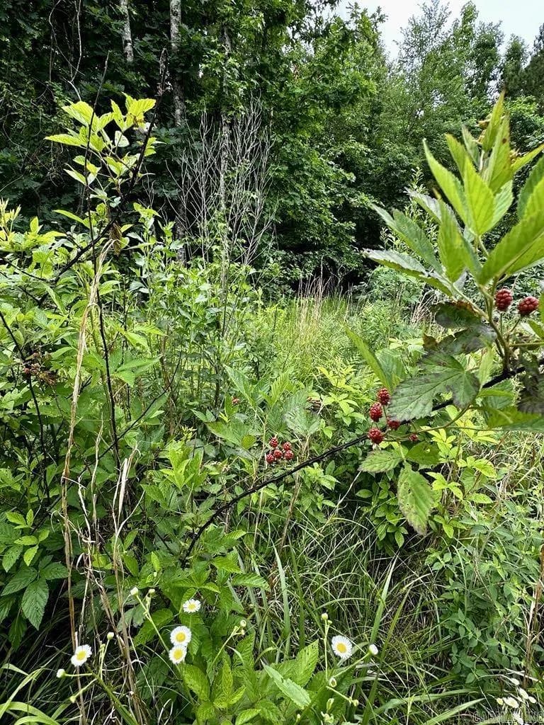 Property at TBD  Dream lane - Image 29