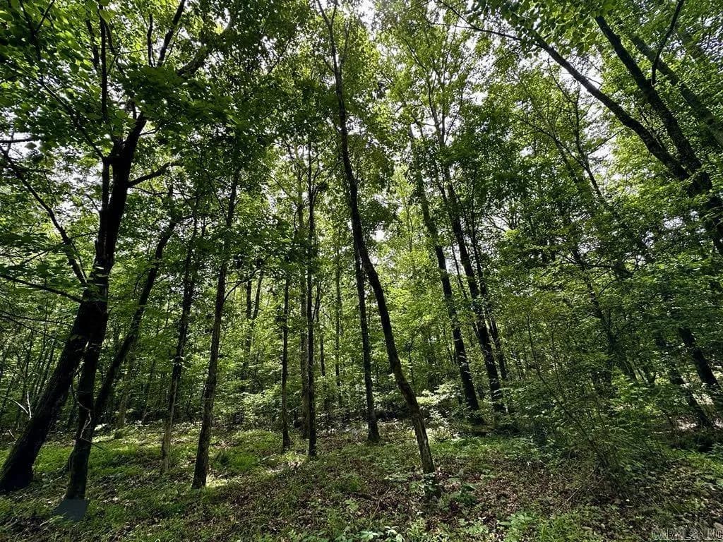 Property at TBD  Dream lane - Image 13