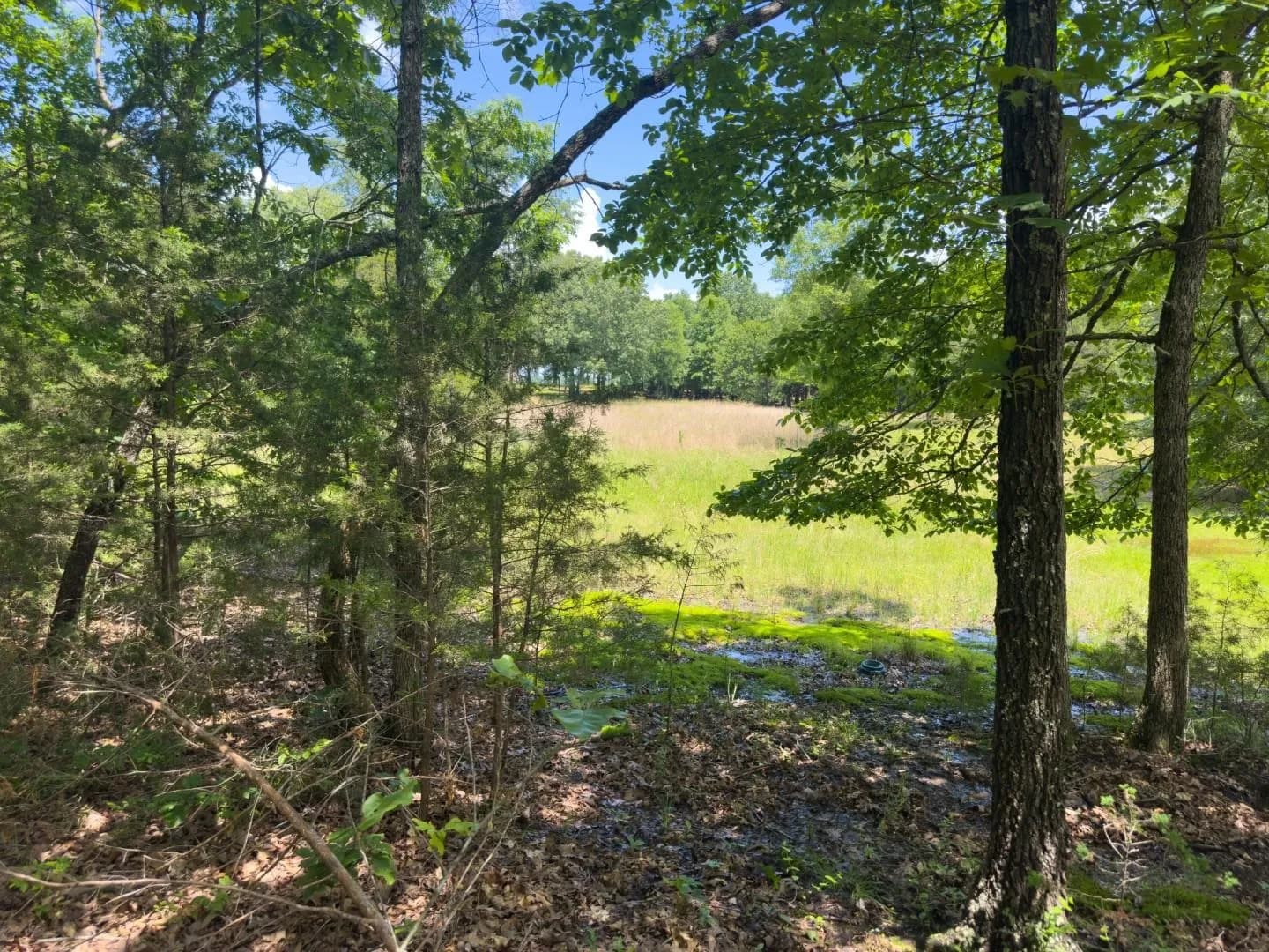 Property at 4764  Byron - Image 30