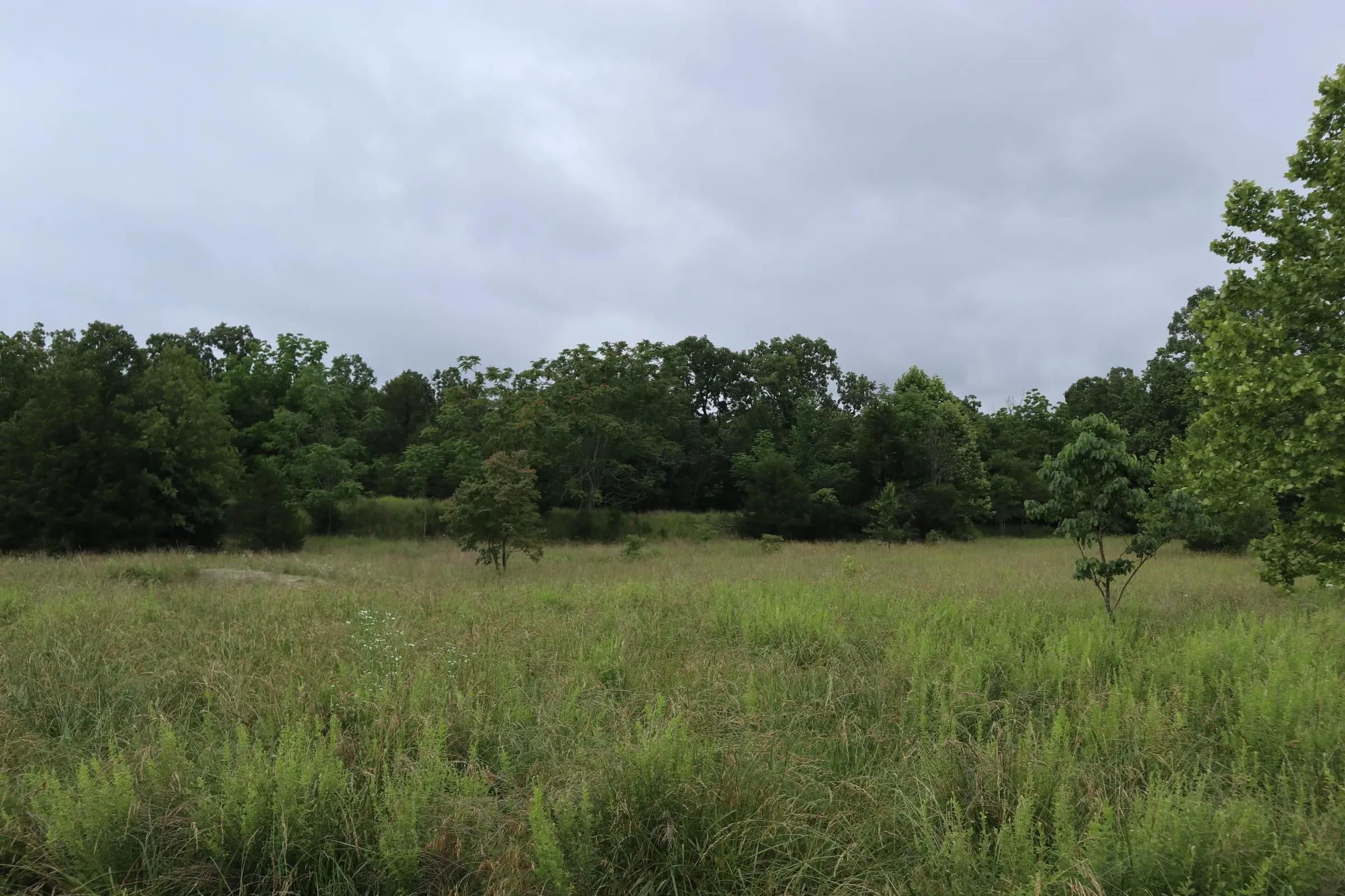 Property at TBD  Hwy 9 s - Image 5