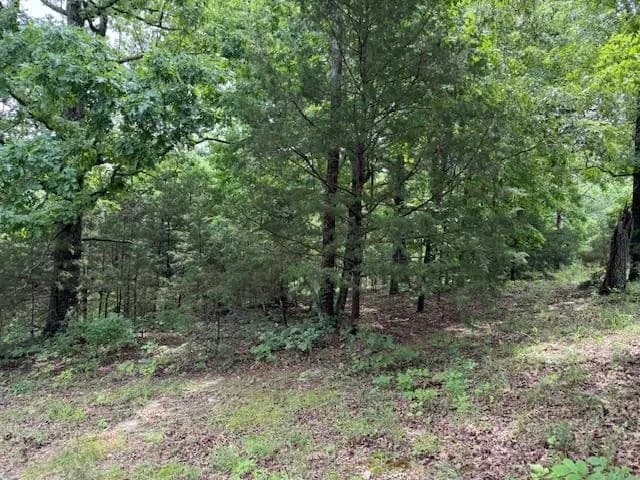 Property at TBD  Hwy 9 s - Image 41