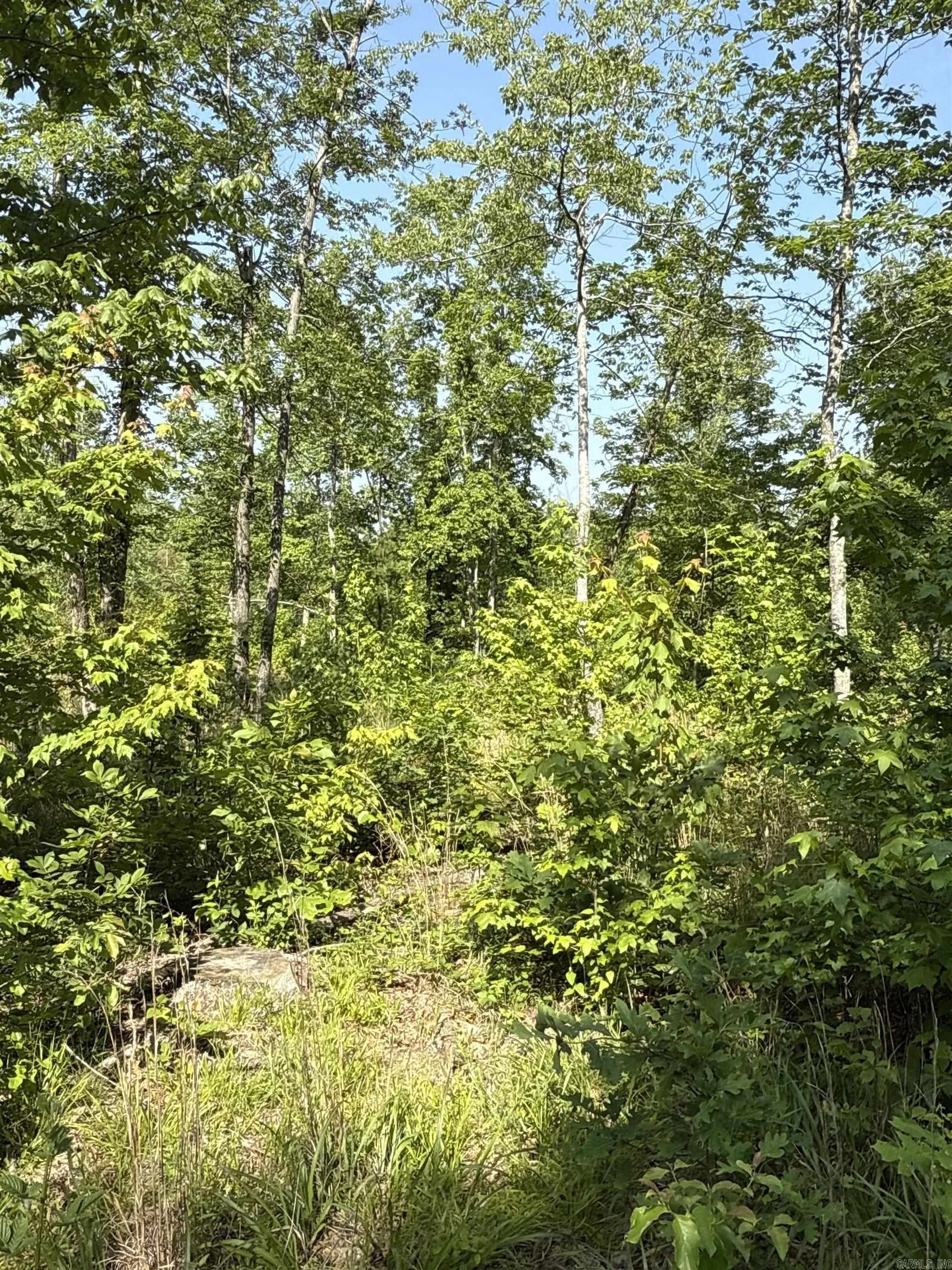 Property at 00  Nickel - Image 28