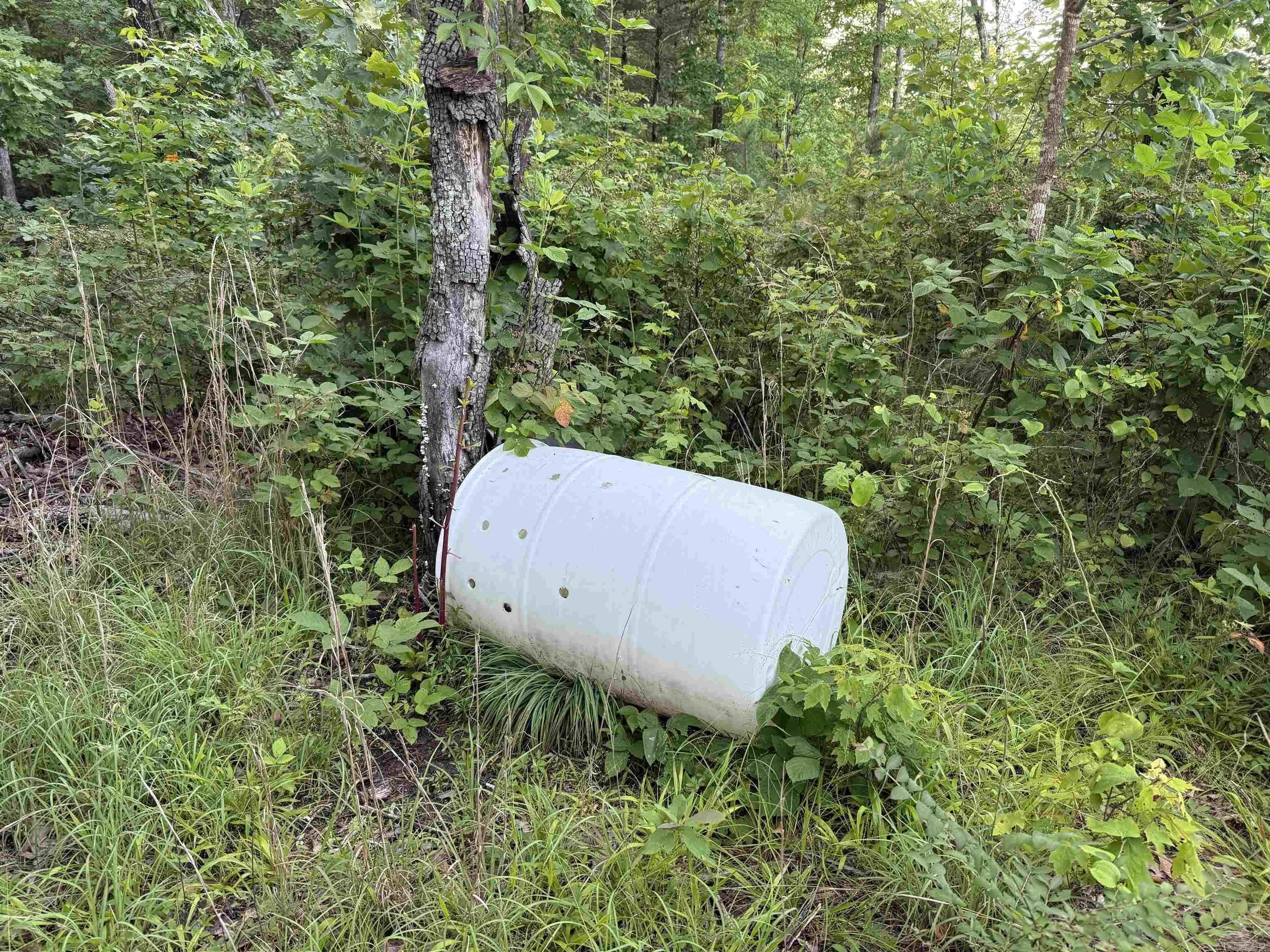 Property at 00  Nickel - Image 31