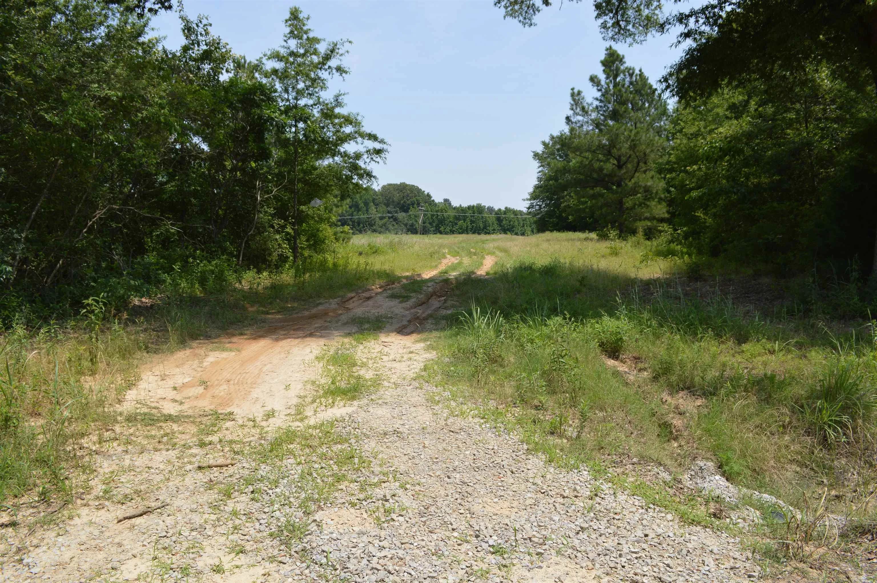 Property at 40  Acres - Image 9