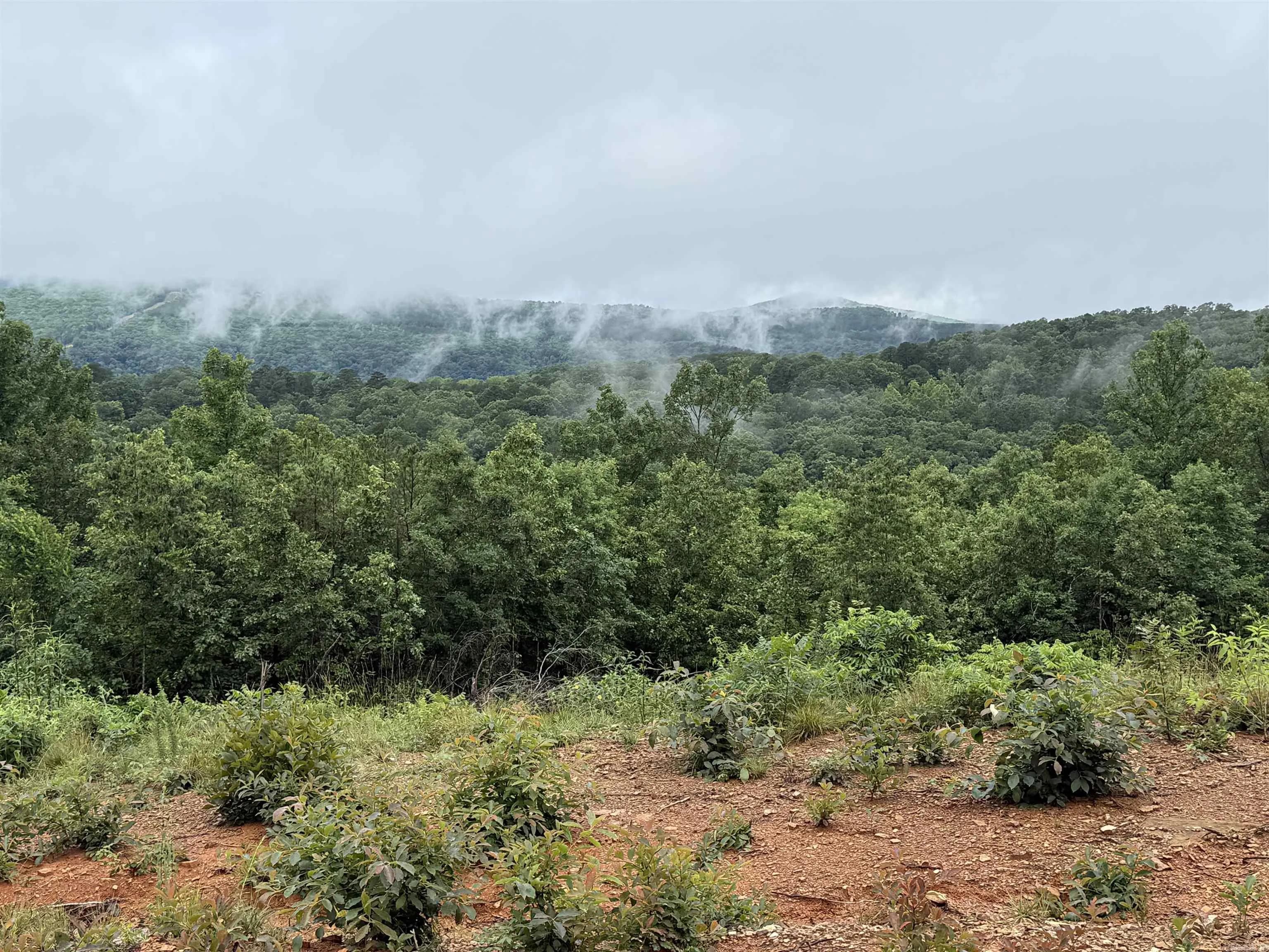 Property at 0  Henderson  Tract 1 - Image 3
