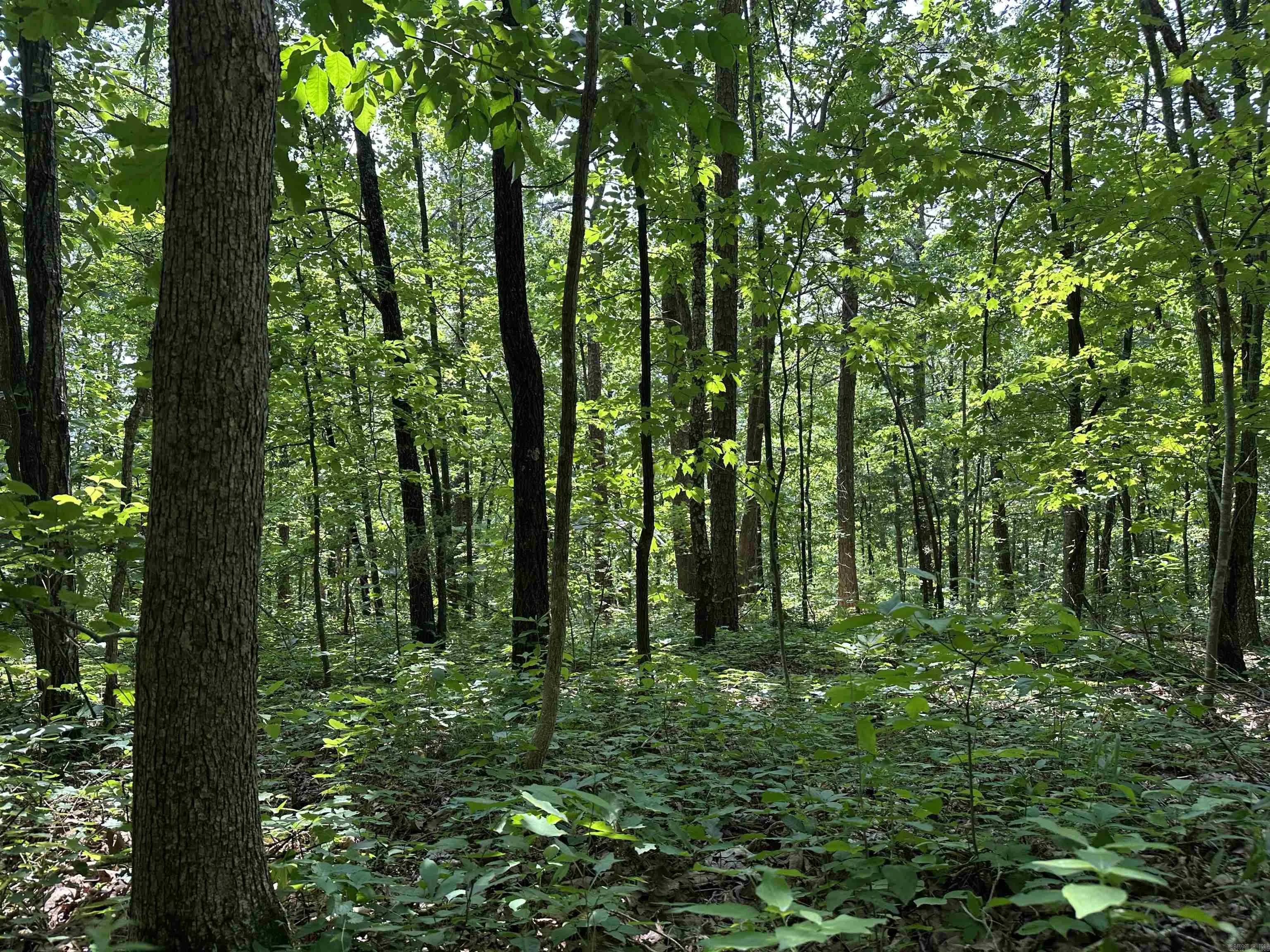 Property at 000  Hwy 110 - Image 11