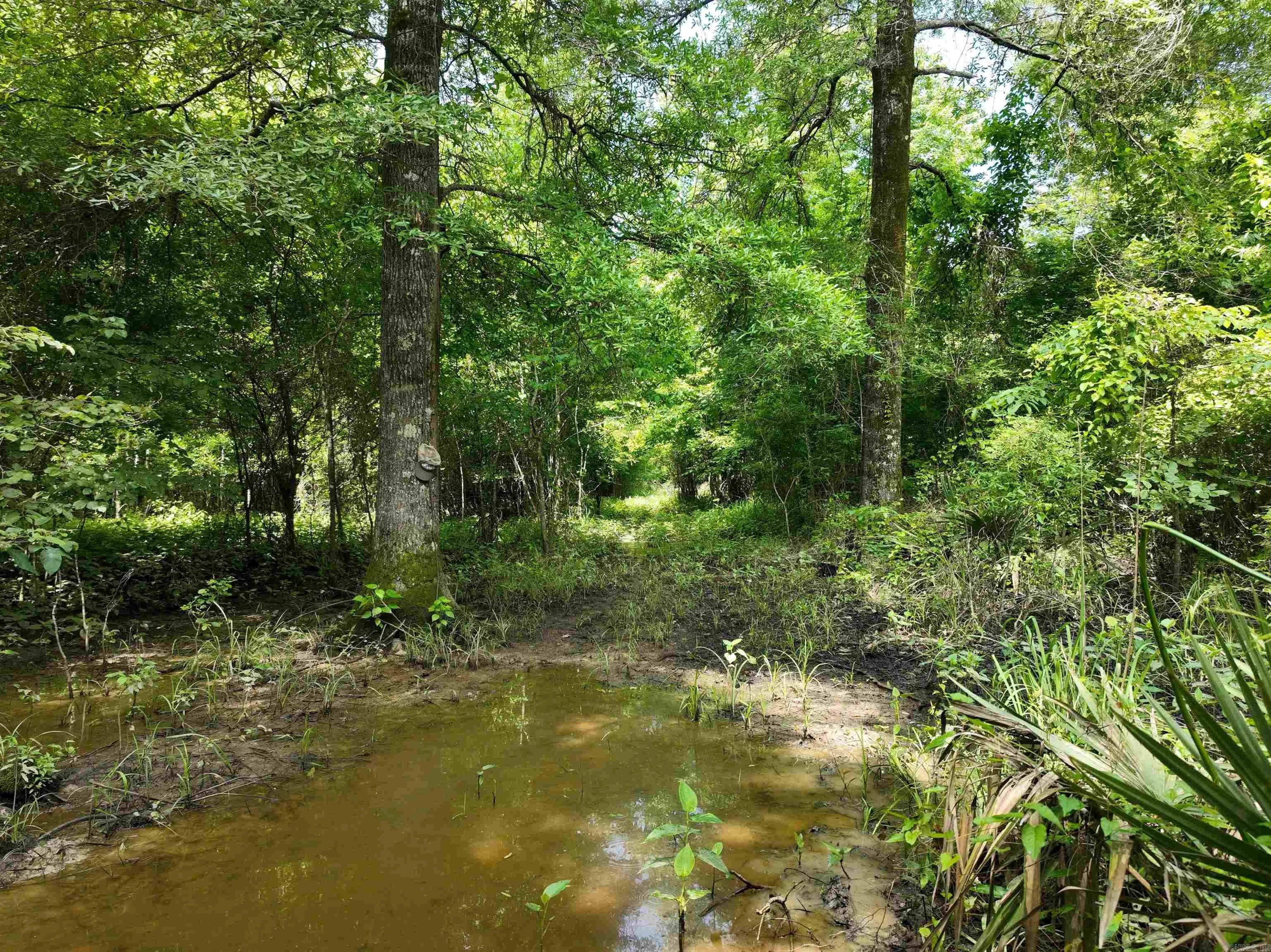Property at 0000  172 - Image 3