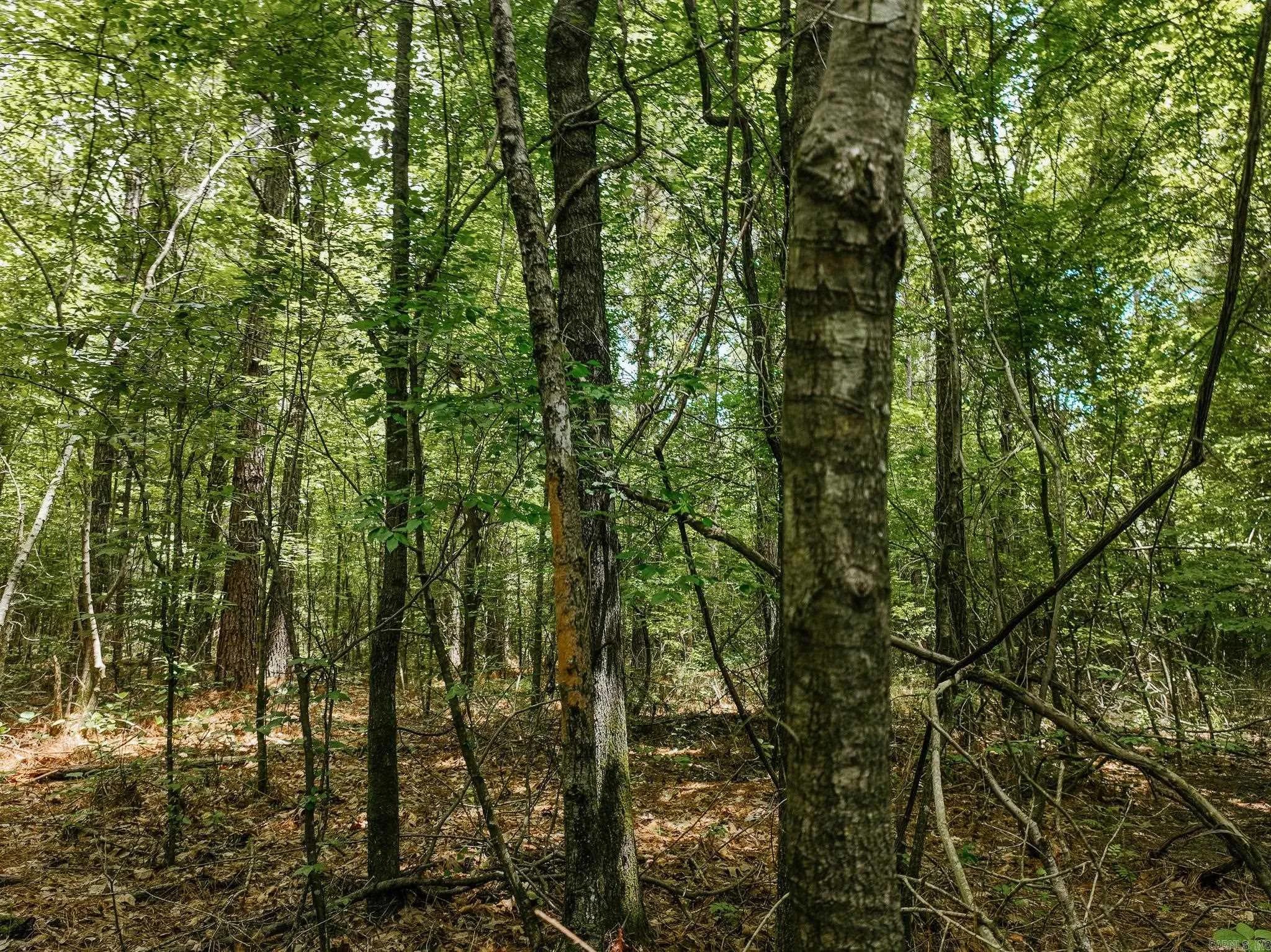 Property at 0000  Deal - Image 8