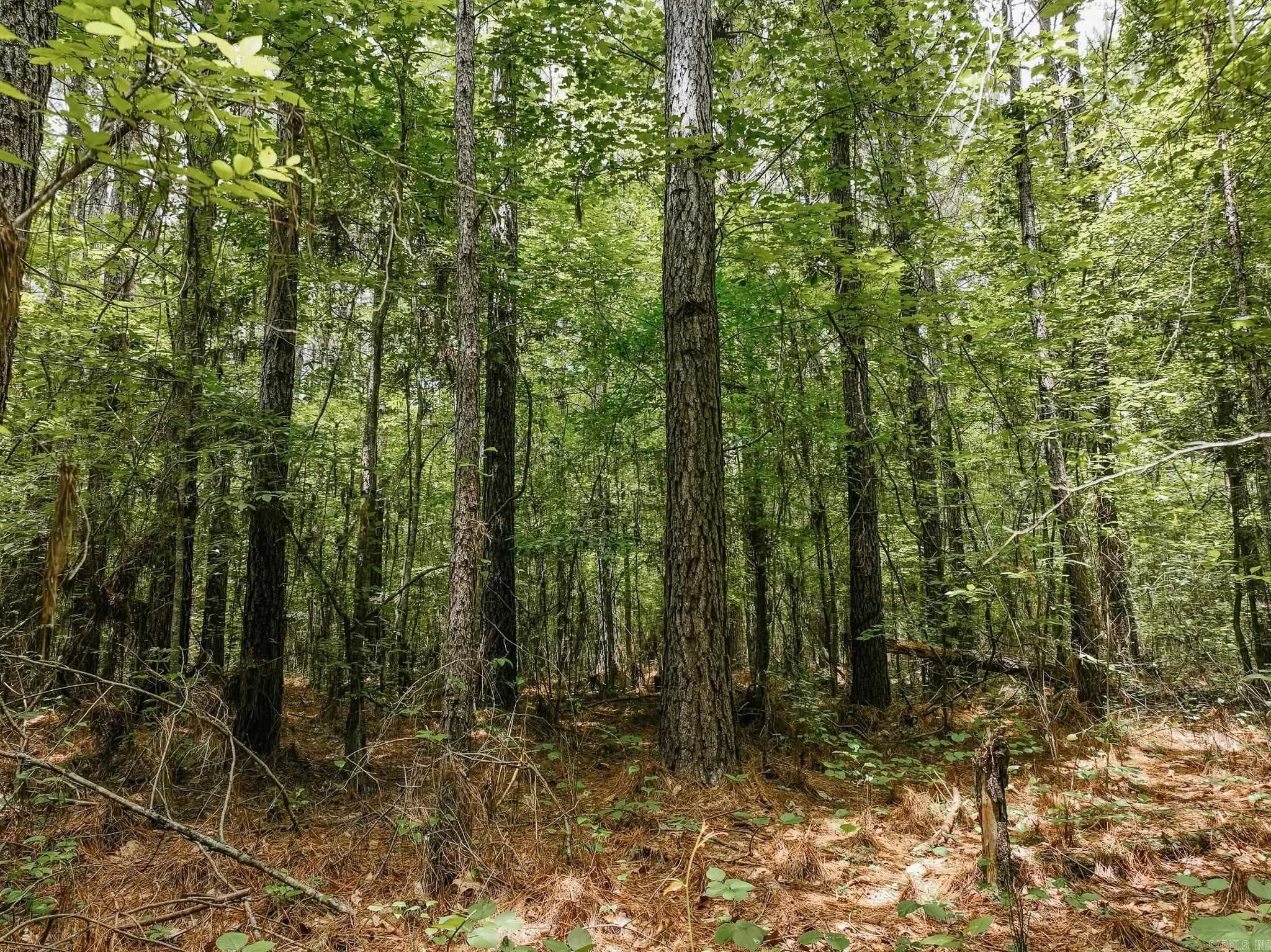 Property at 0000  Deal - Image 10