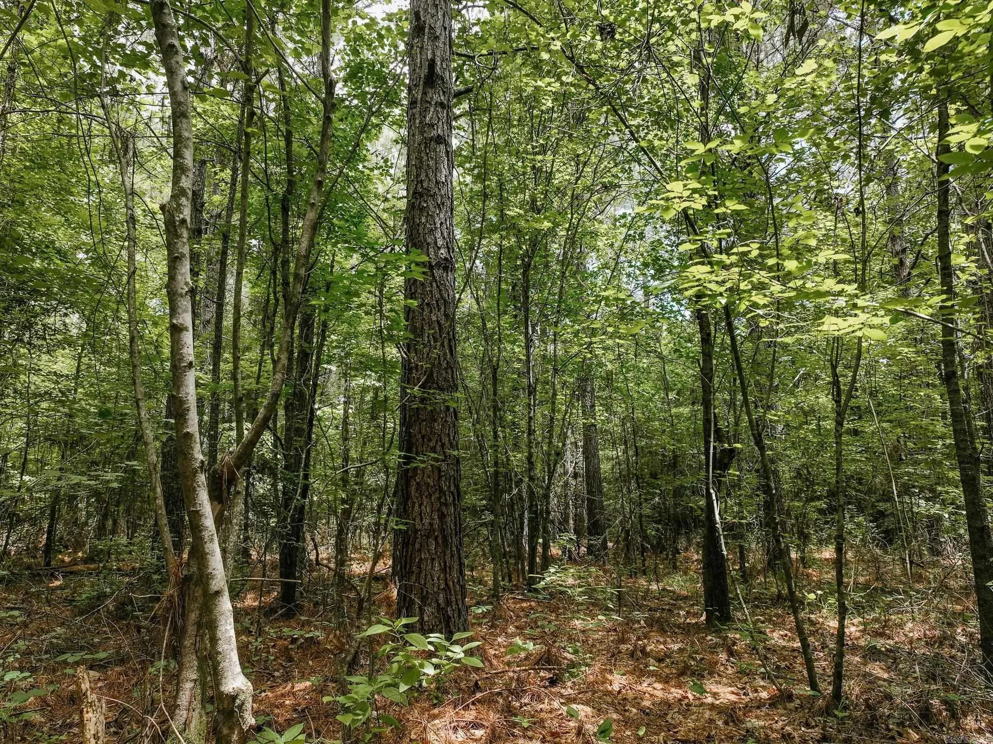Property at 0000  Deal - Image 11