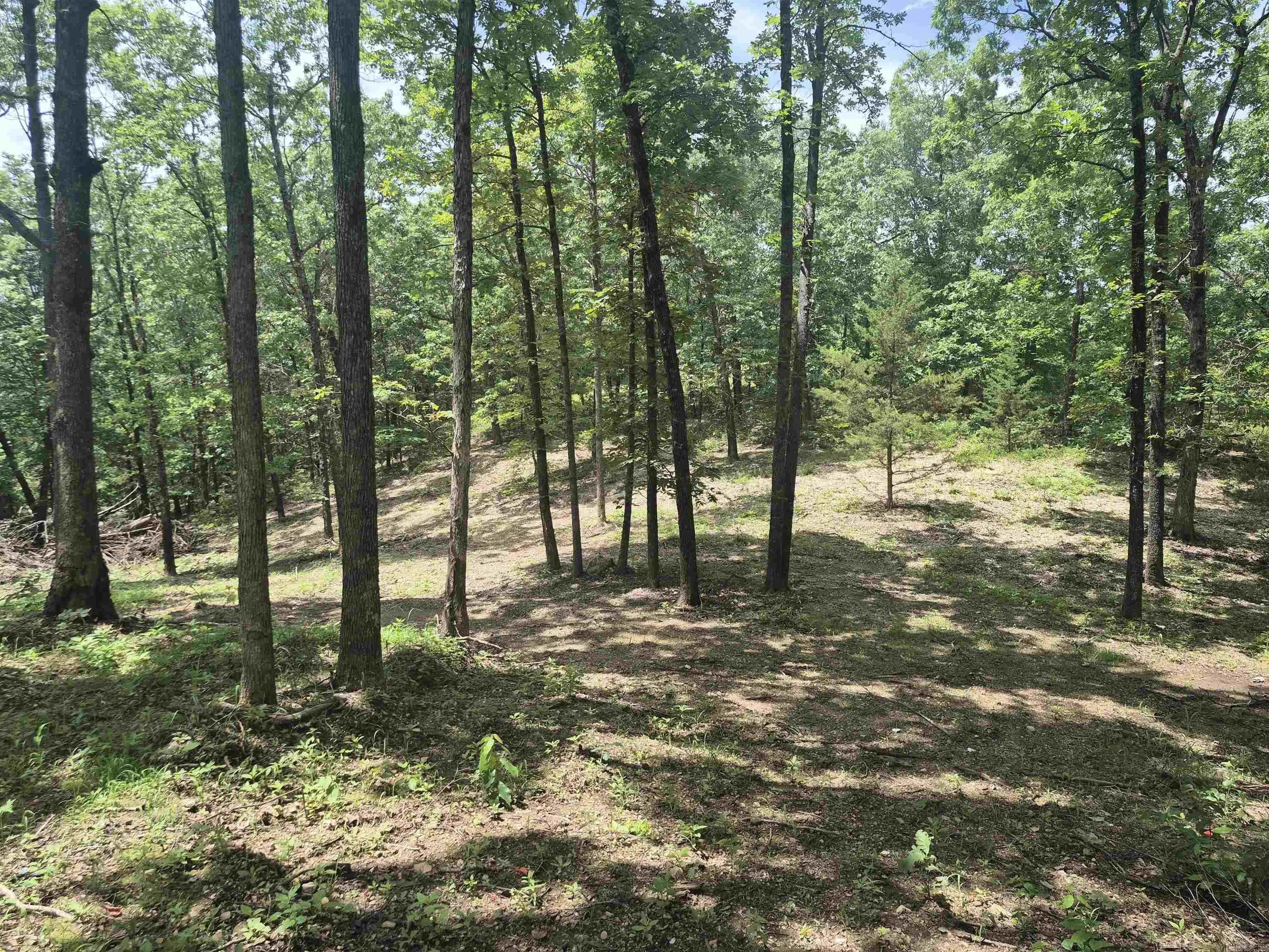 Property at 18195 N Hwy 65 - Image 15