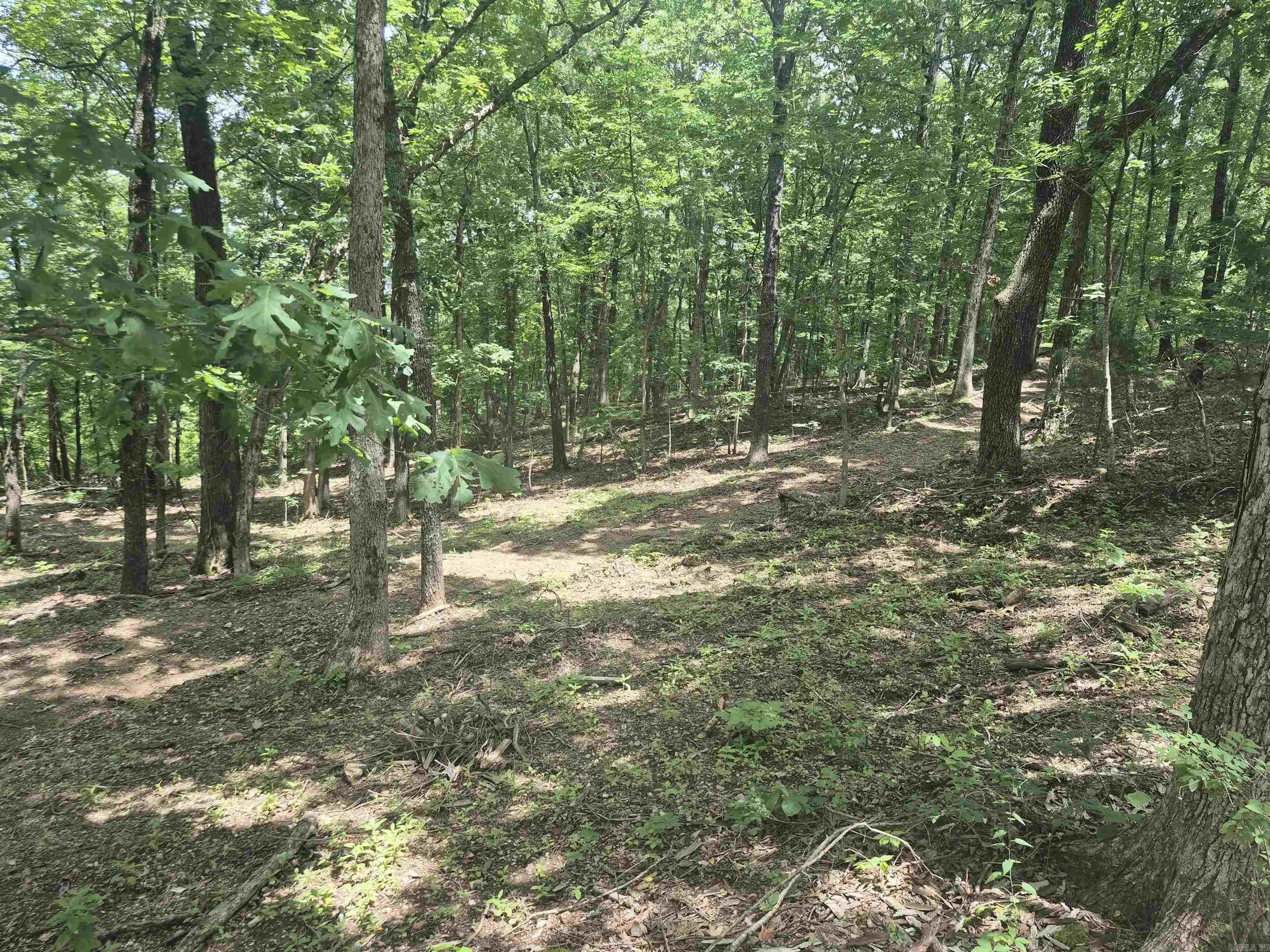 Property at 18195 N Hwy 65 - Image 4