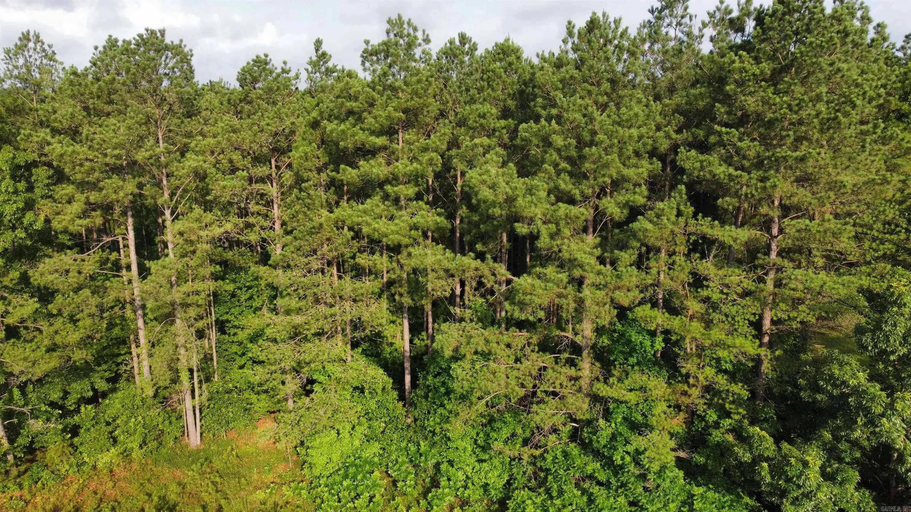 Property at County Road  33 - Image 8