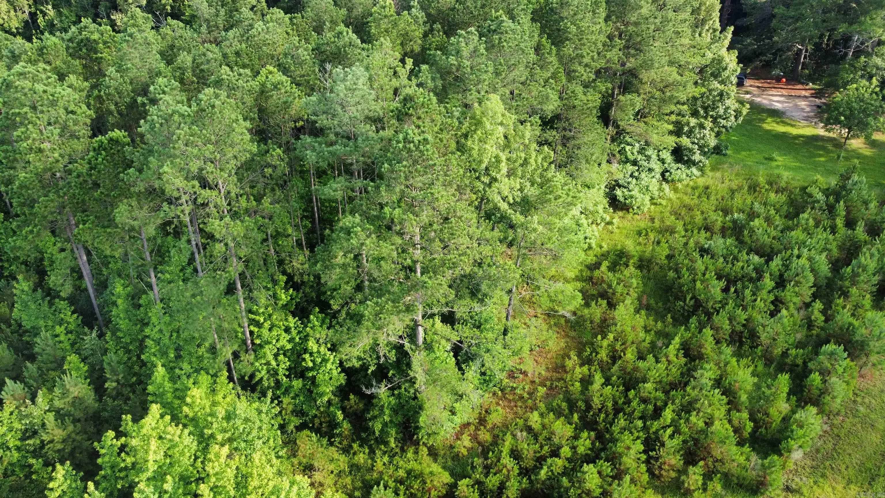 Property at County Road  33 - Image 11