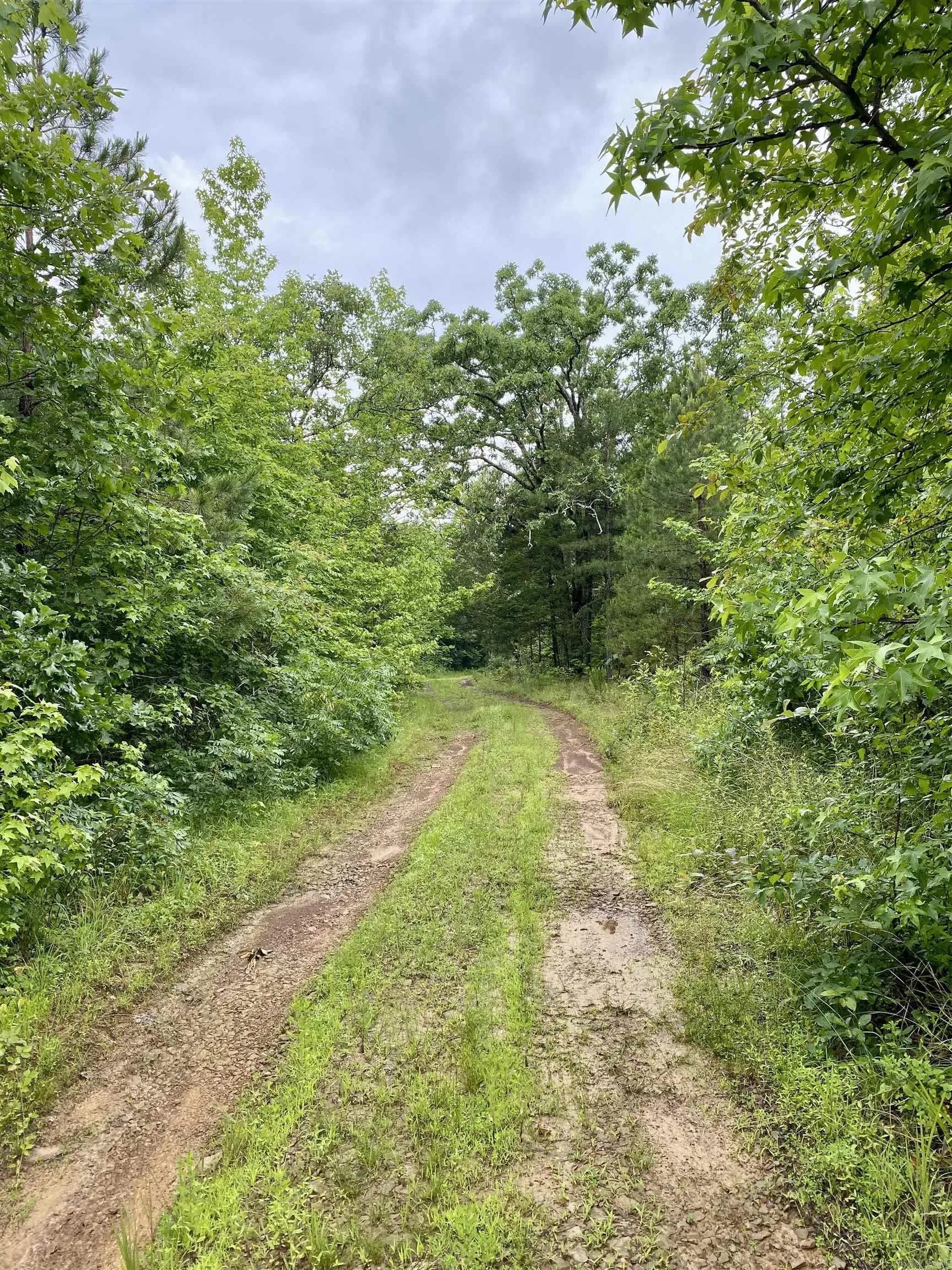Property at 1296  County road 4015 - Image 6