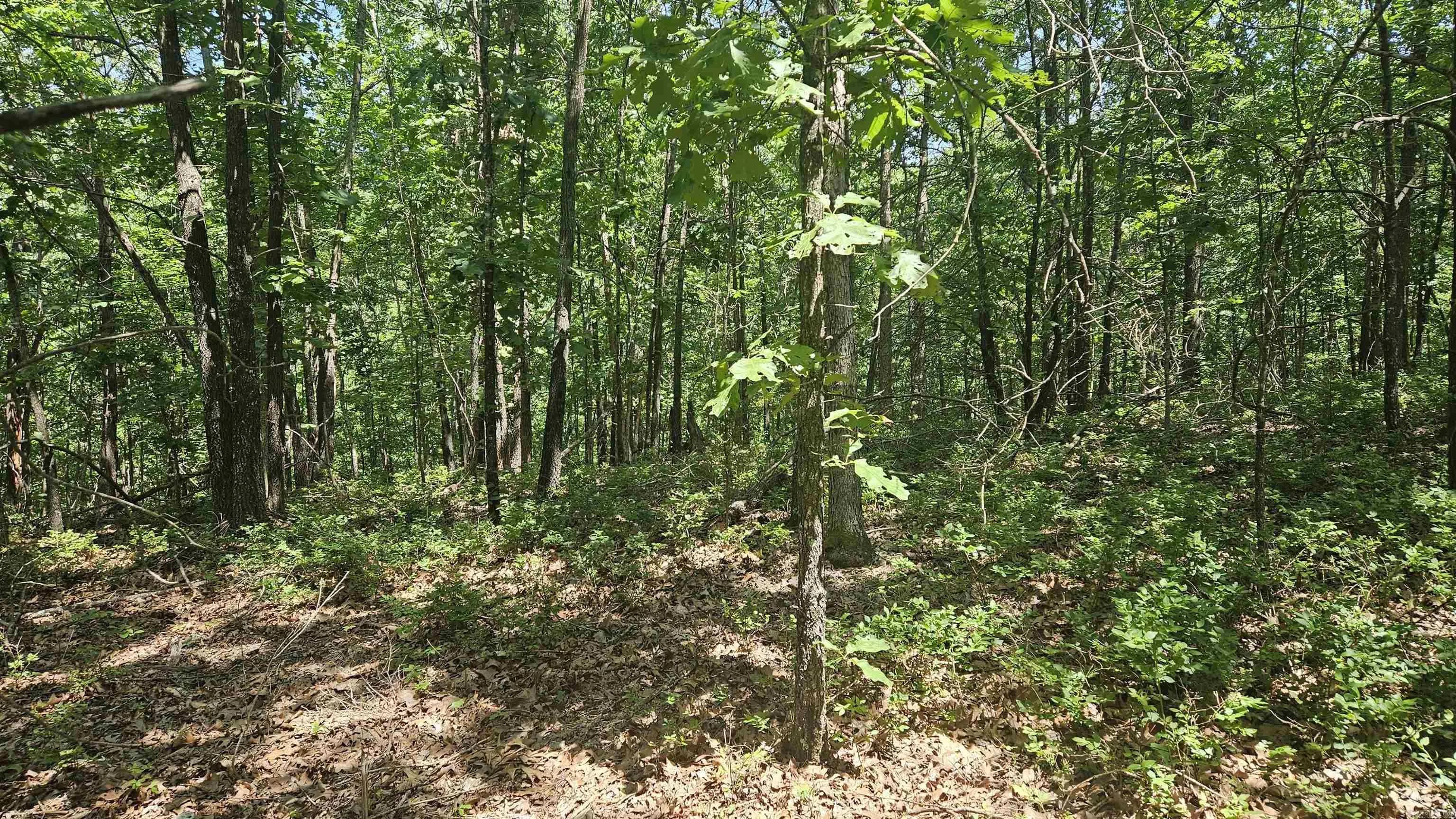 Property at MC  2084 - Image 9