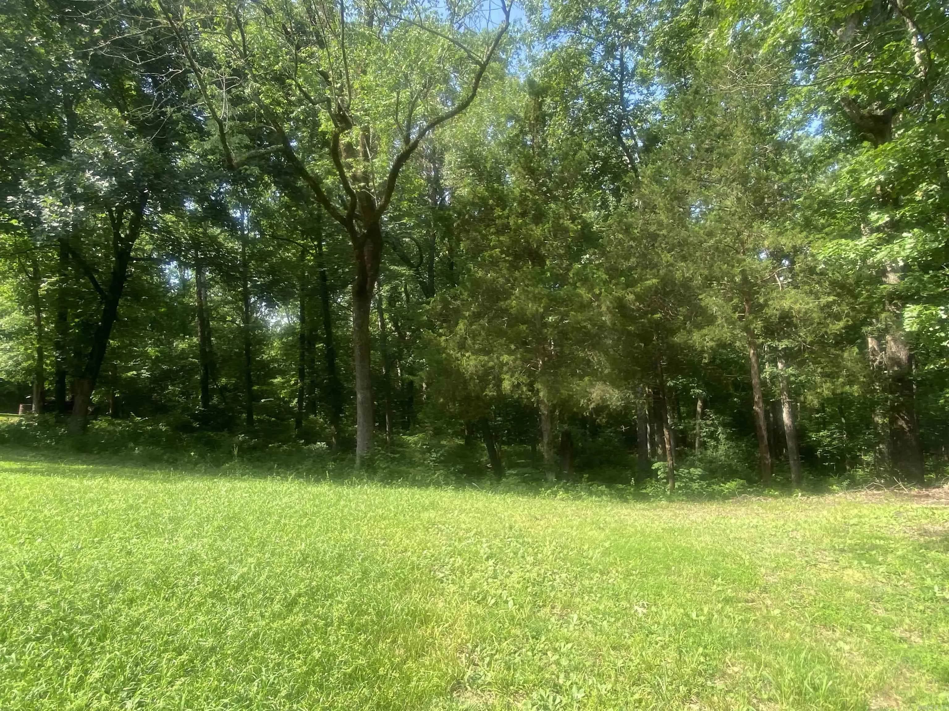 Property at 177  Bearce - Image 33