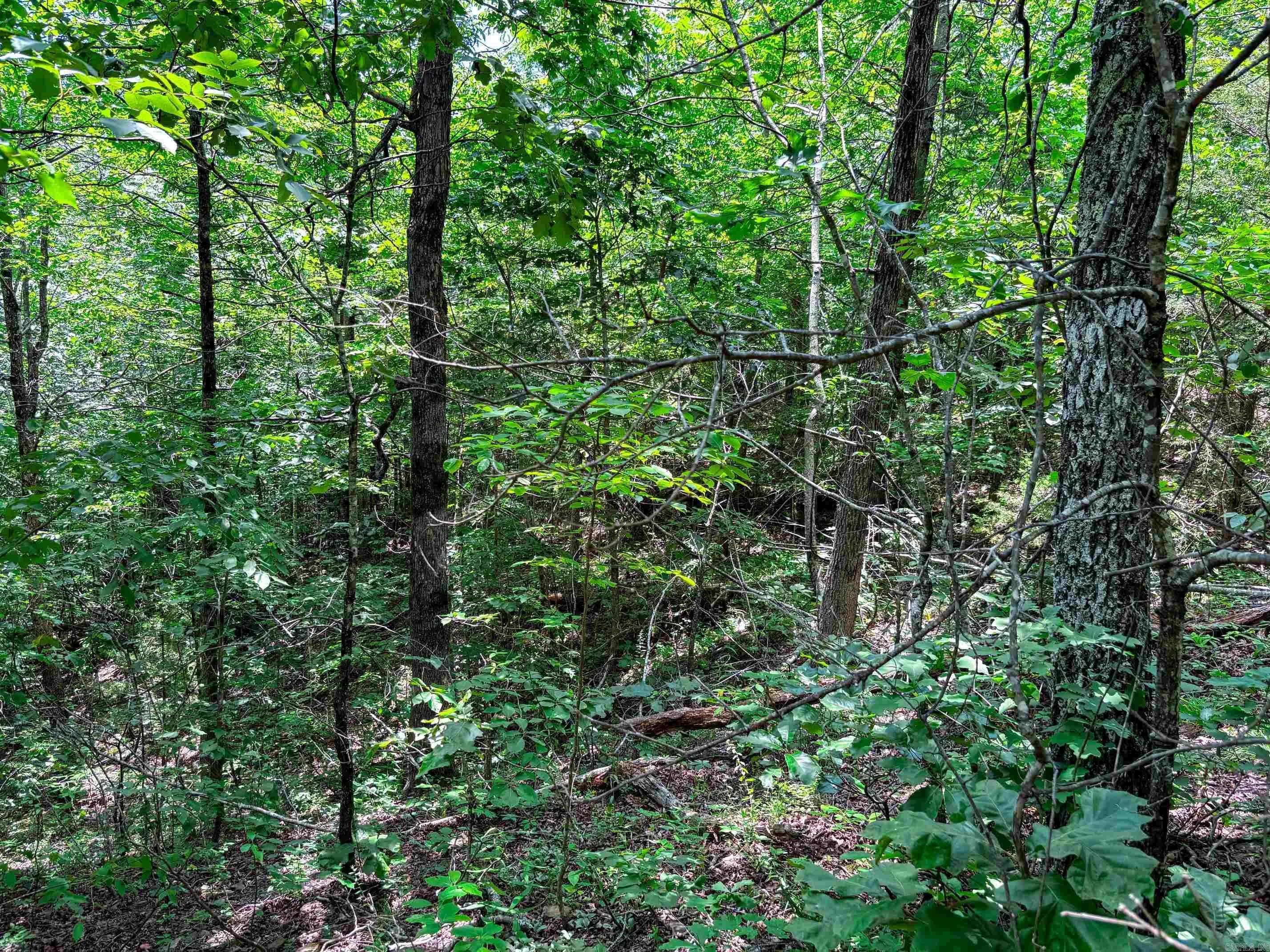 Property at 12018  Highway 254 - Image 10