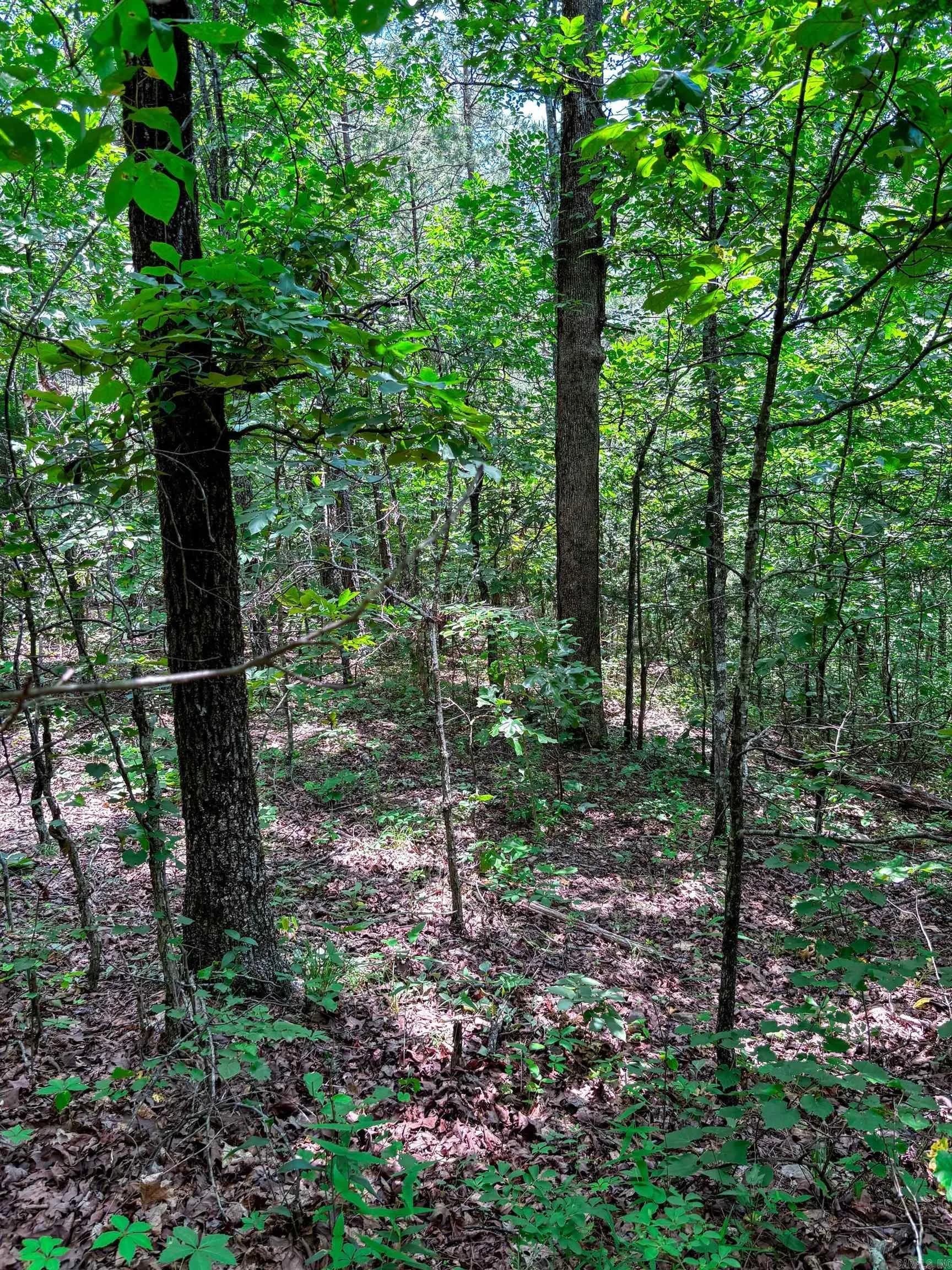 Property at 12018  Highway 254 - Image 8