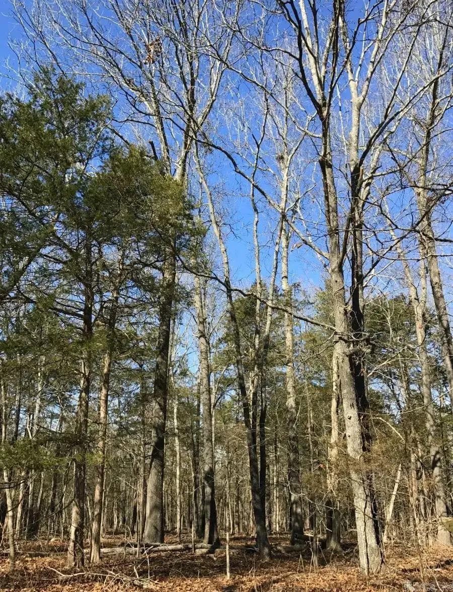 Property at 000  Cedar creek - Image 41
