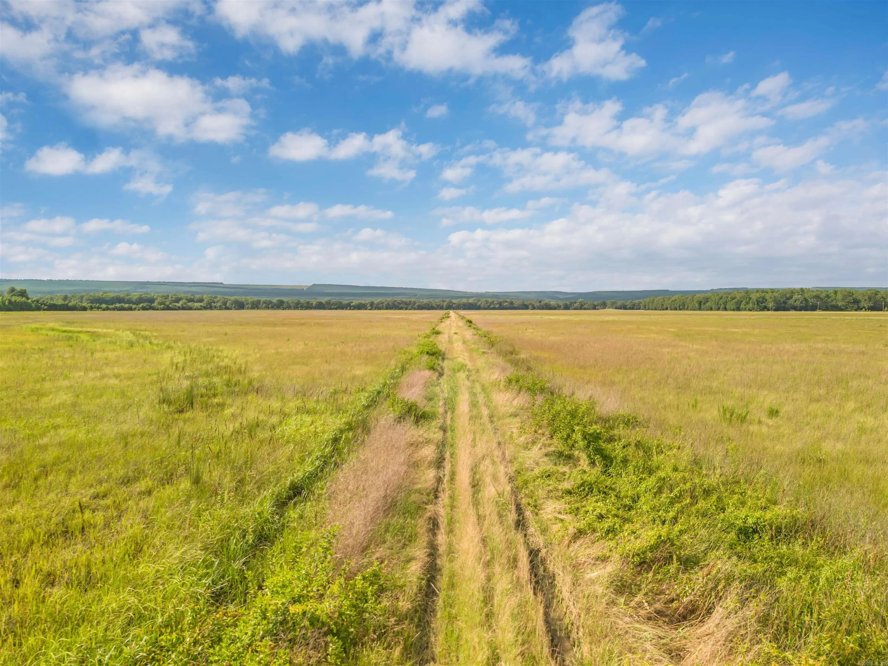 Property at TBD  Highway 155 s - Image 12