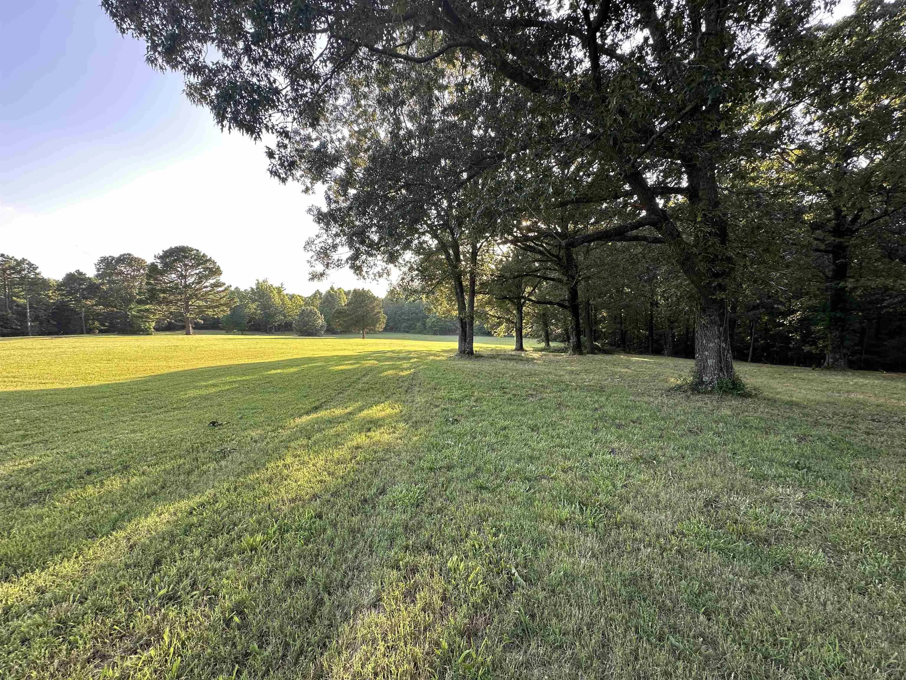 Property at 10 Acres  County road 753 - Image 2